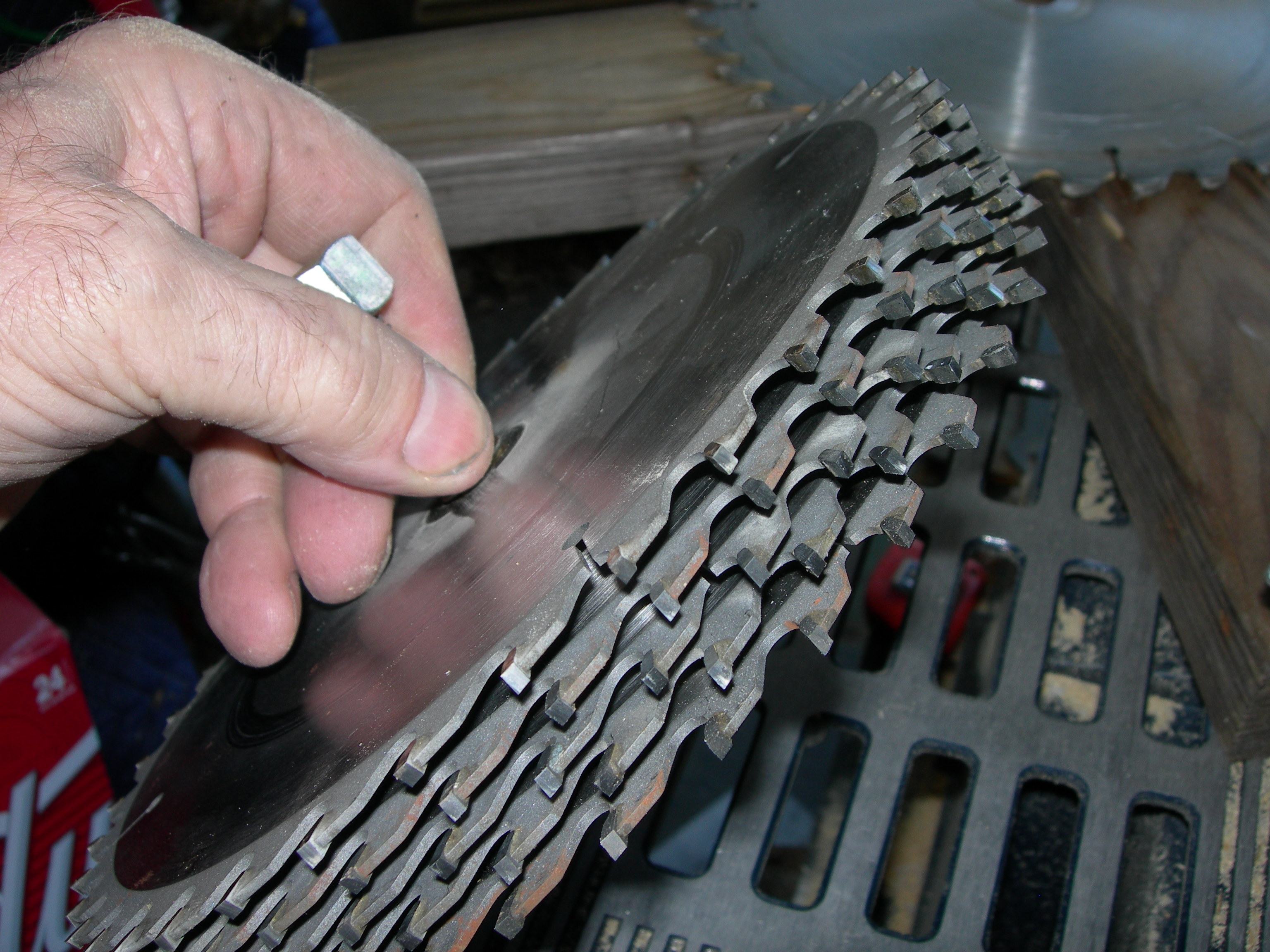 Harbor Freight Dado Blade