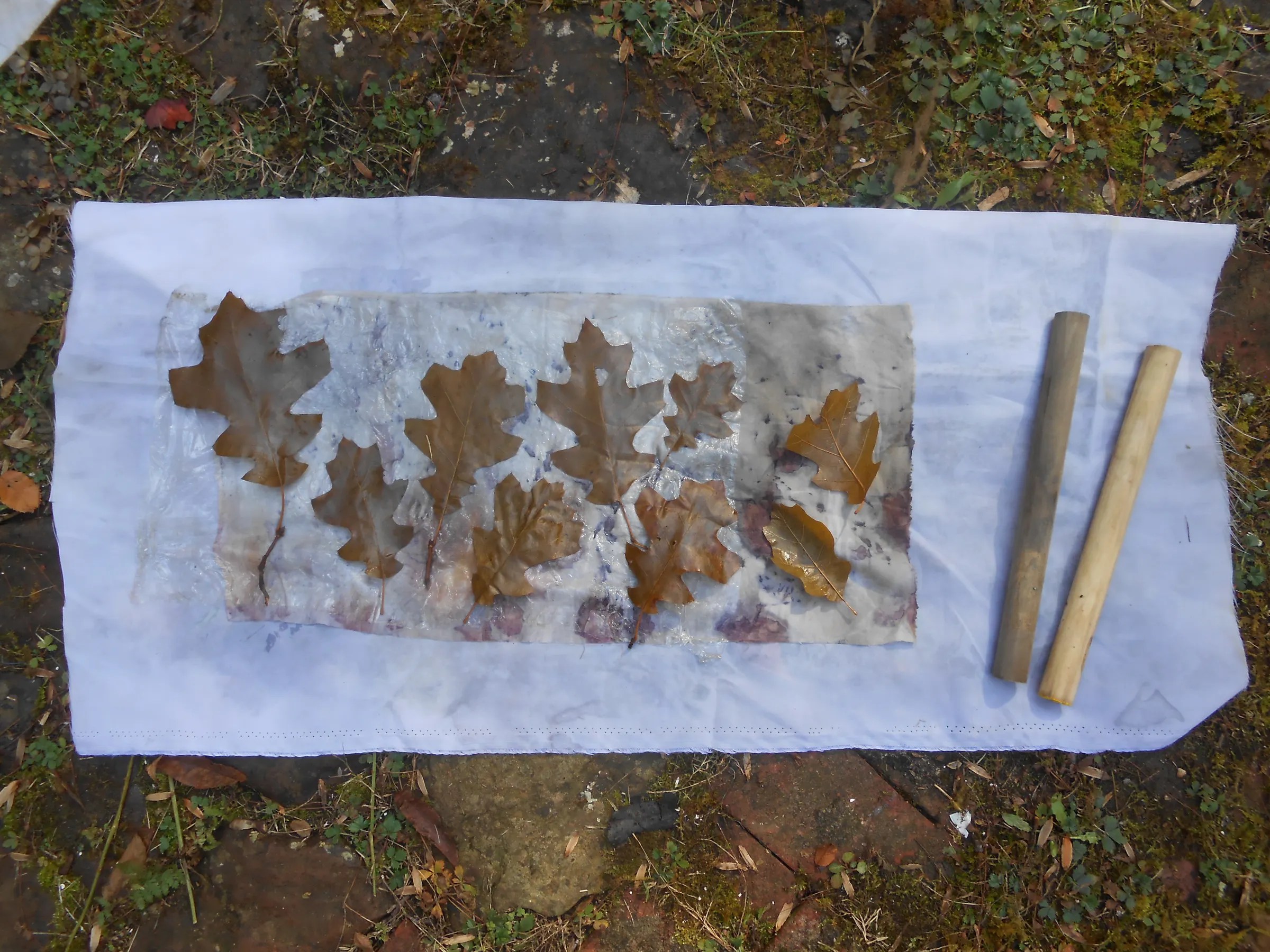 EcoPrinting With Rust & Vinegar 6 Steps (with Pictures) Instructables