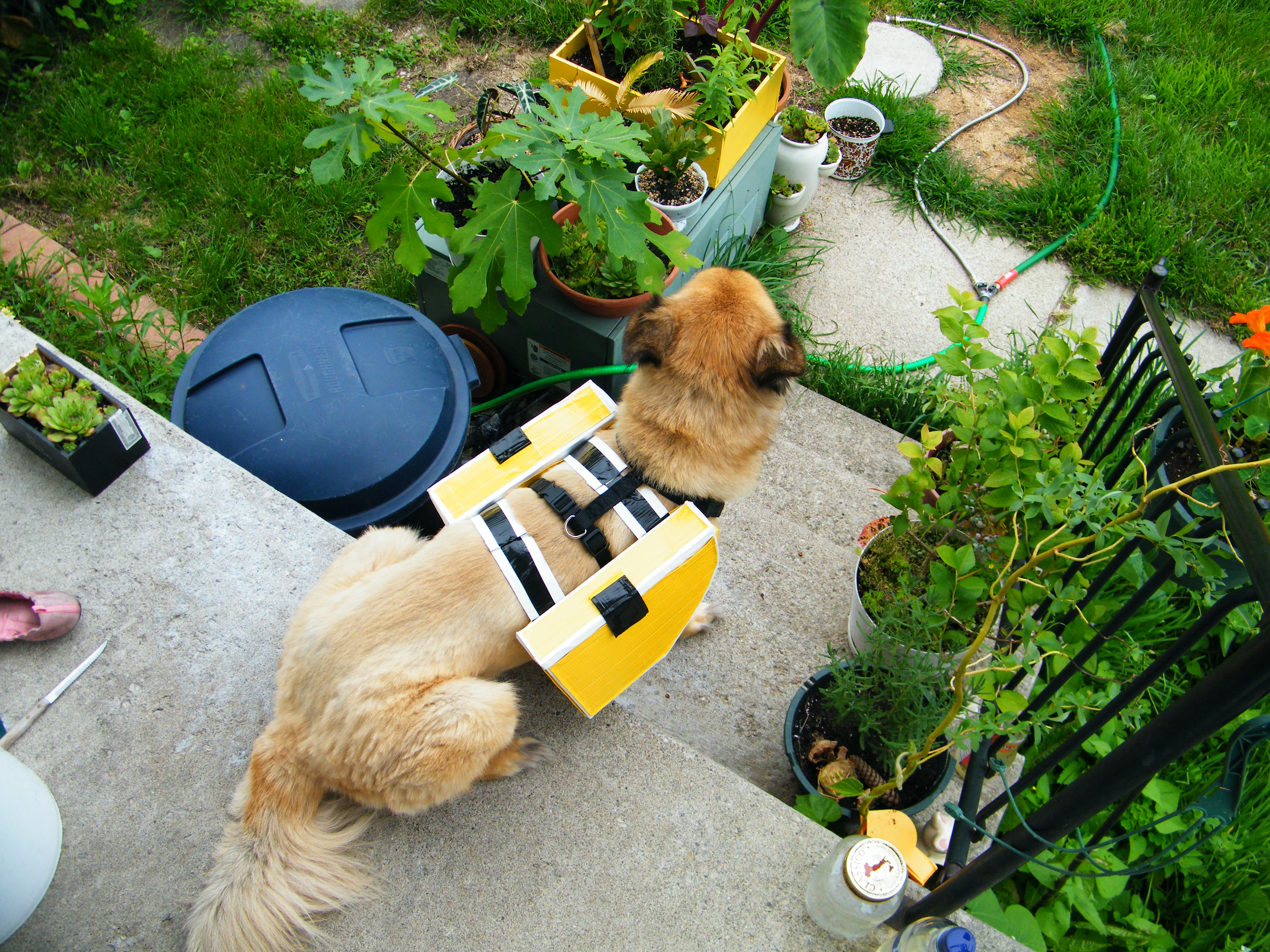 Duct Tape Dog Panniers (with Pictures) Instructables