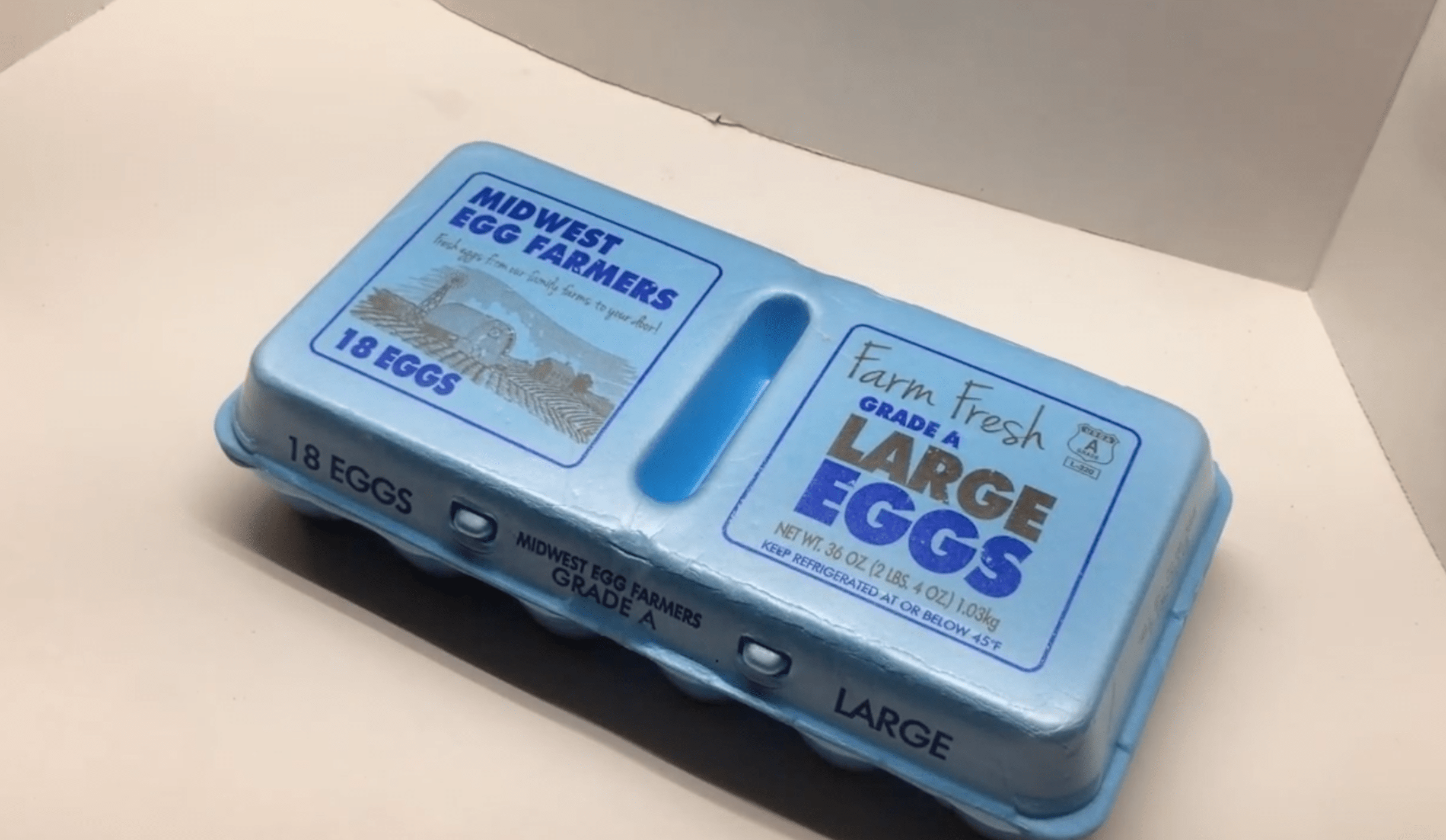 Start Seeds in an Egg Carton 6 Steps Instructables