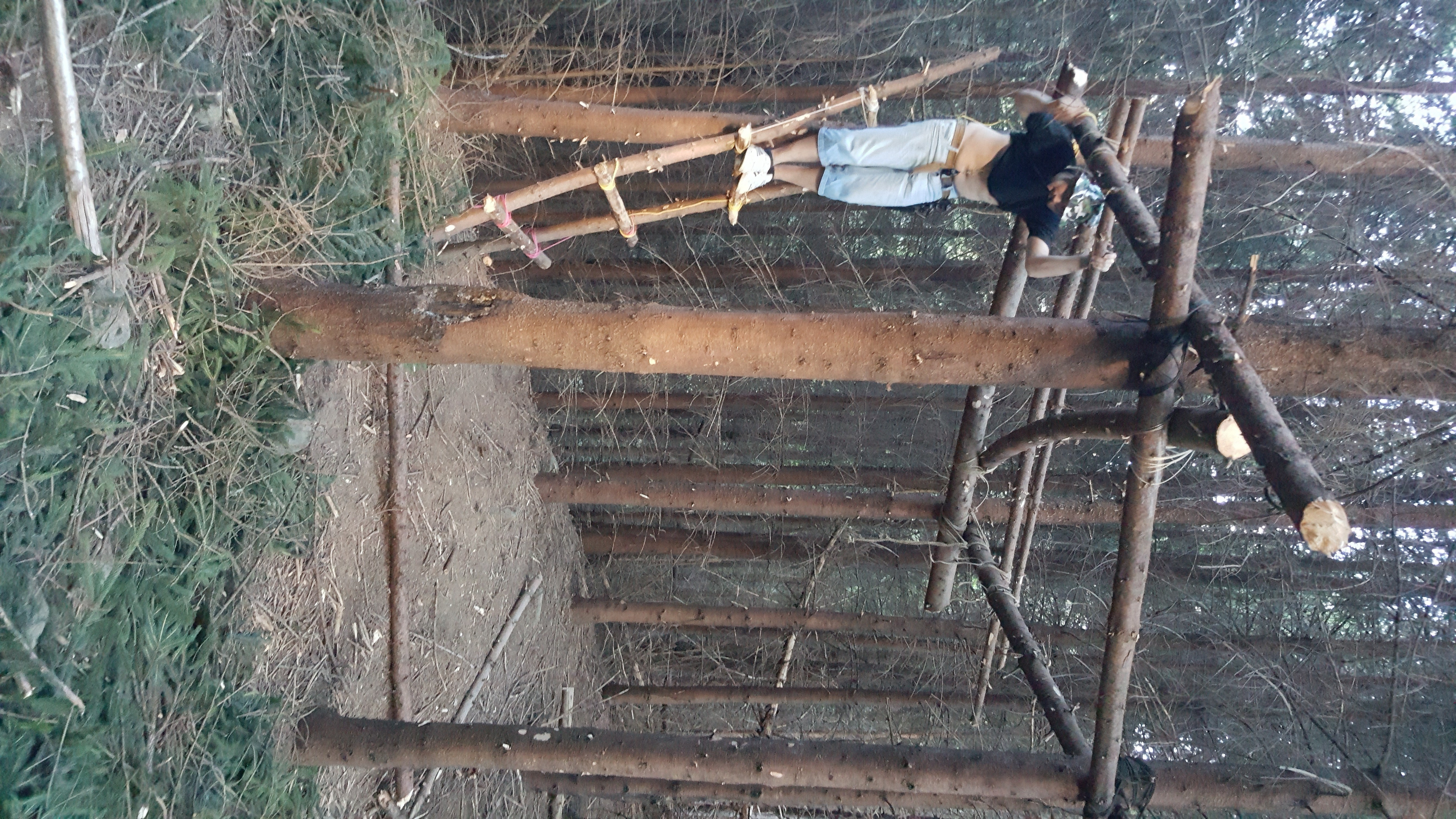 Tree Platform : 5 Steps (with Pictures) - Instructables