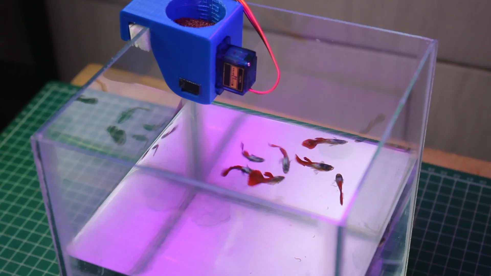 Automatic Fish Feeder Using Arduino Nano 8 Steps (with Pictures