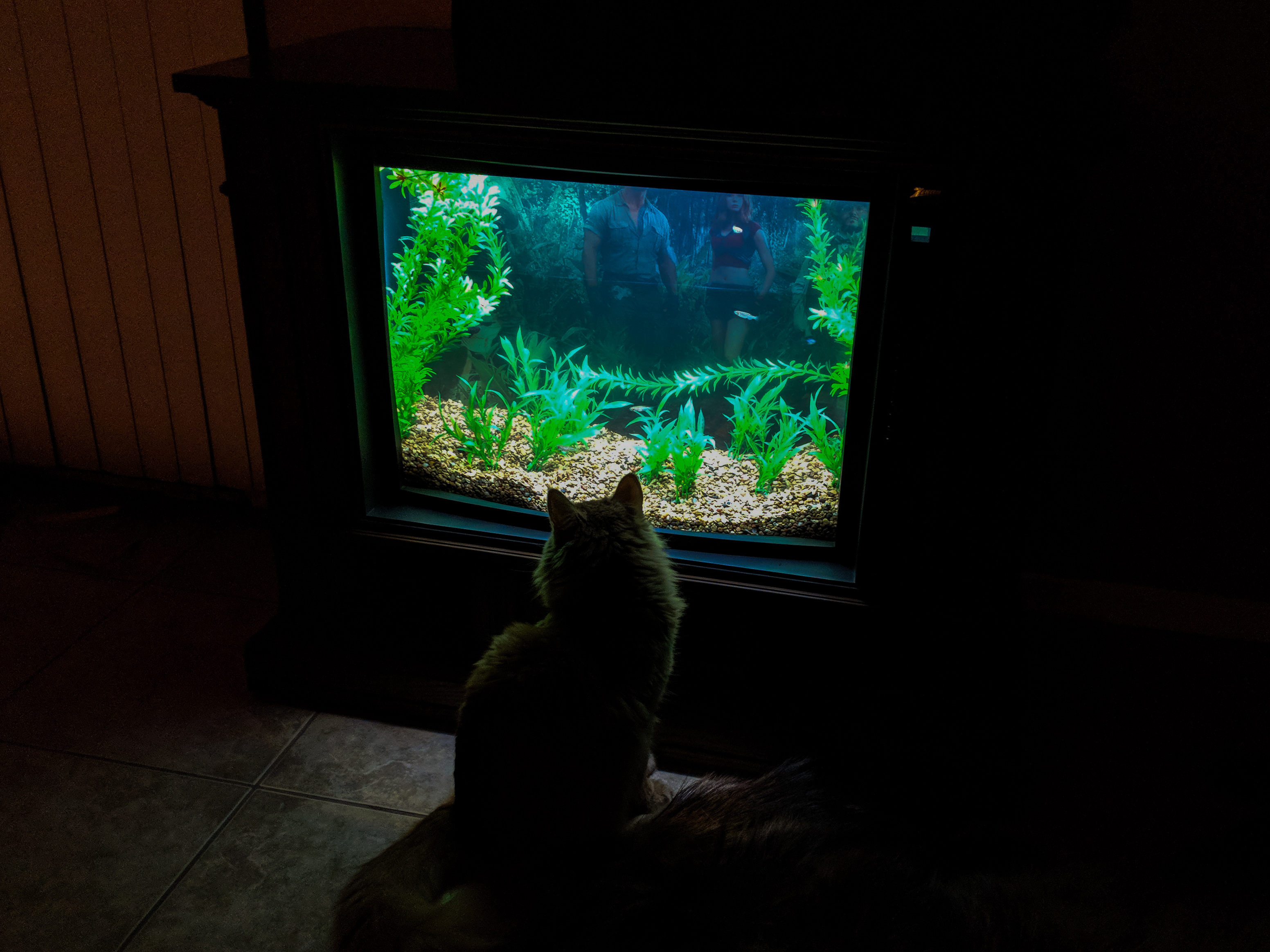 Build a TV Fish Tank 6 Steps (with Pictures) Instructables