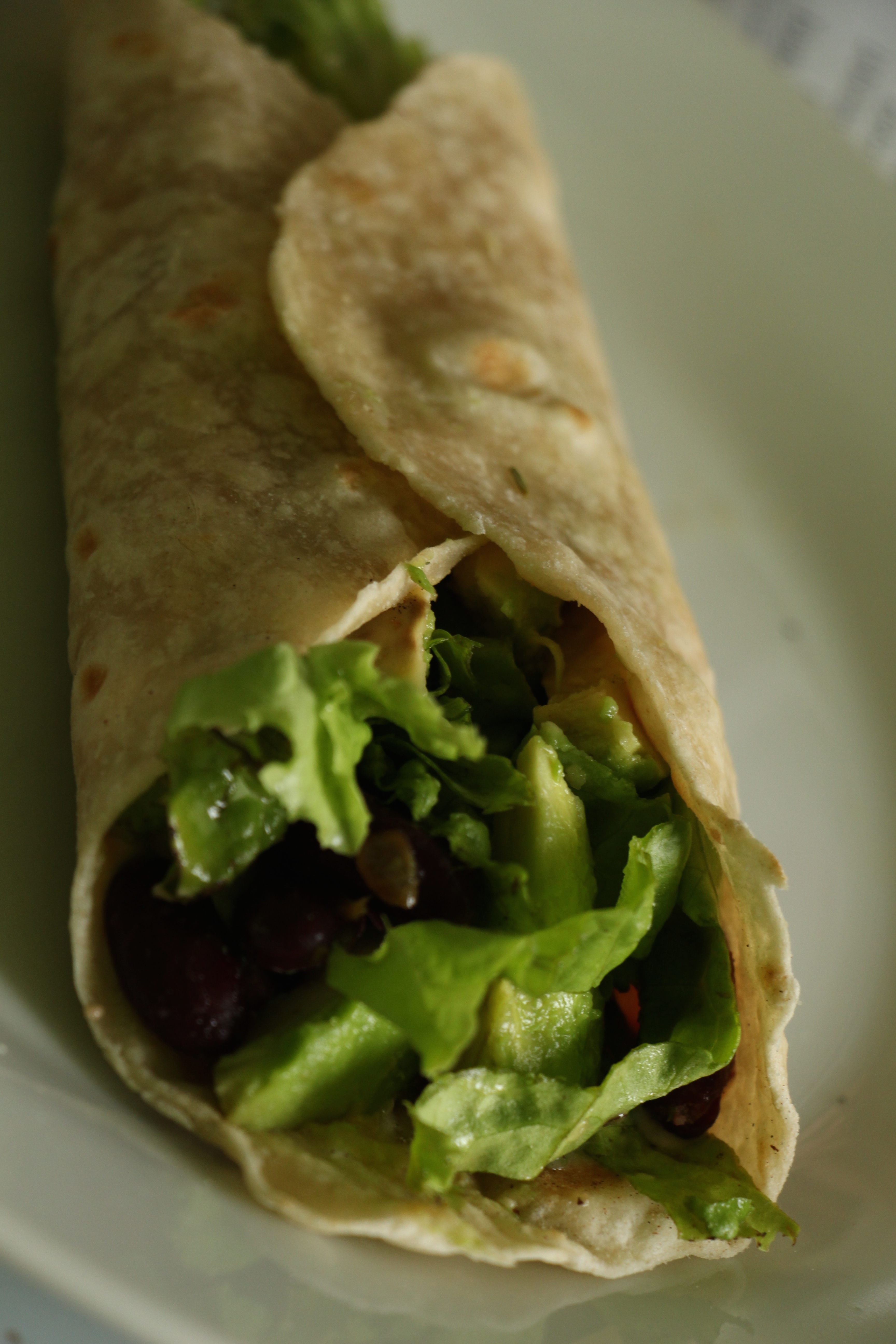 Homemade TortillaWraps 5 Steps Instructables