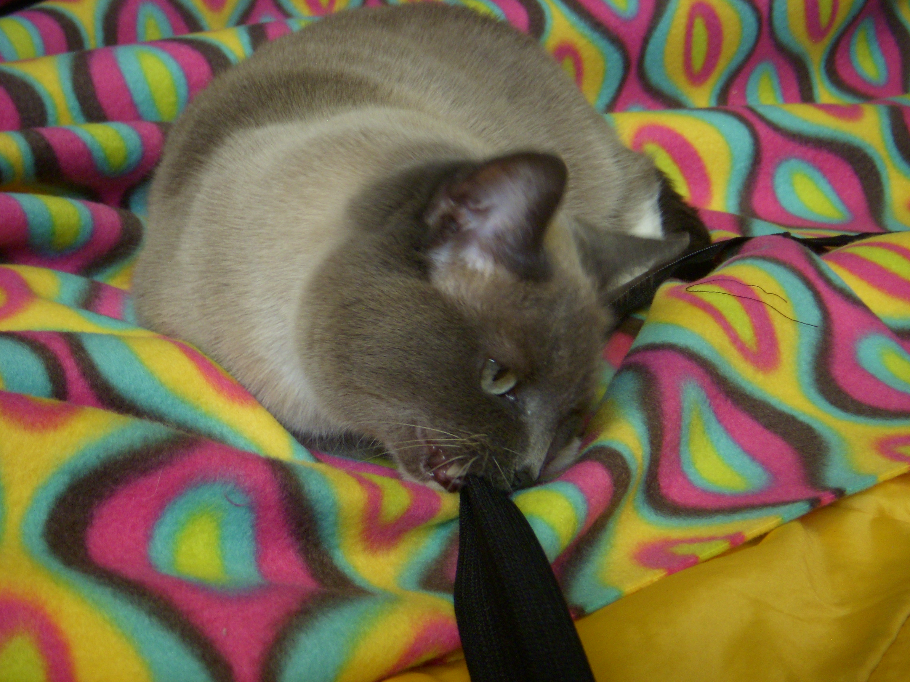 How to Sew a Sleeping Bag ZipIn Liner 9 Steps (with Pictures