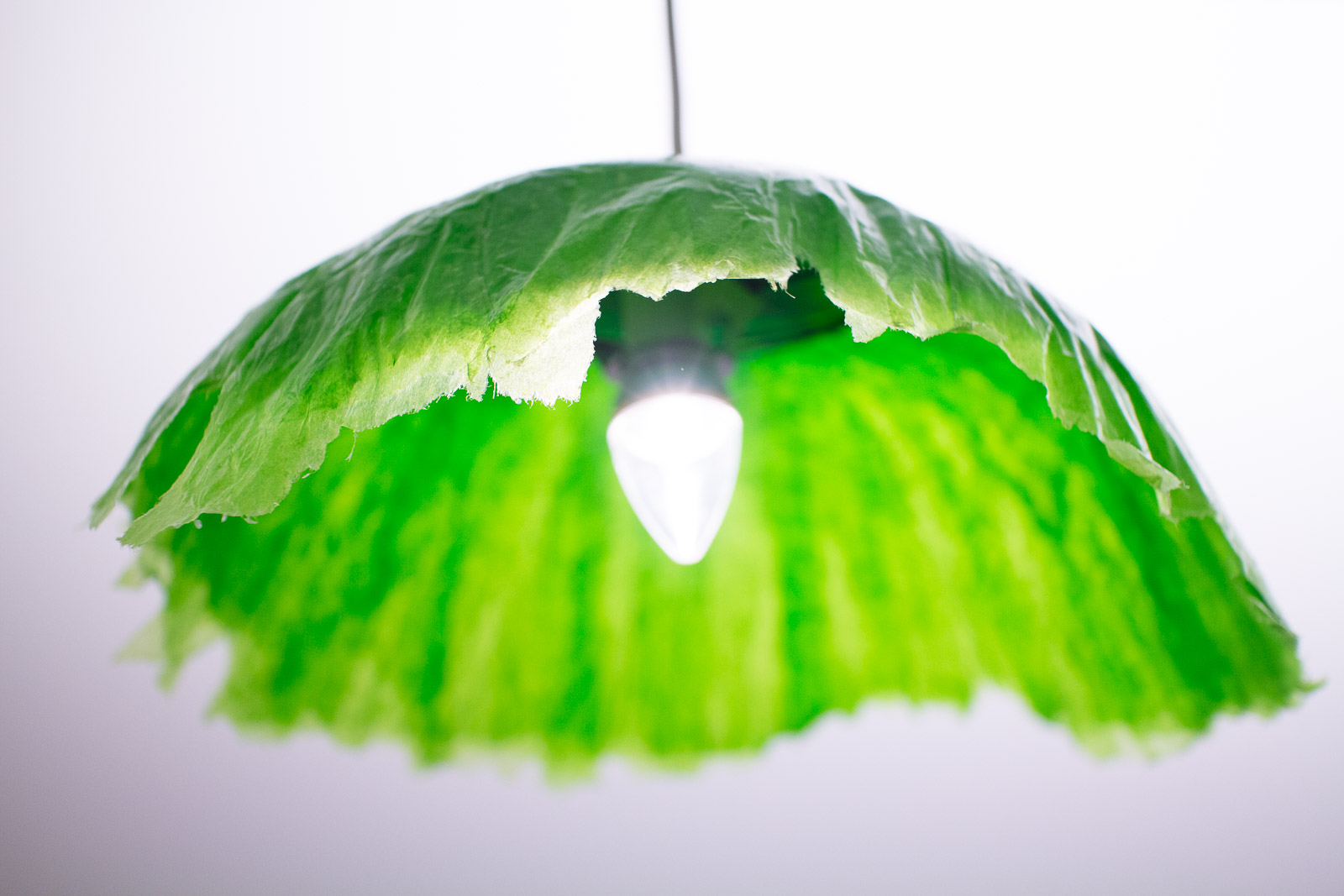 Tools and Materials for Paper Mache 5 Steps Instructables