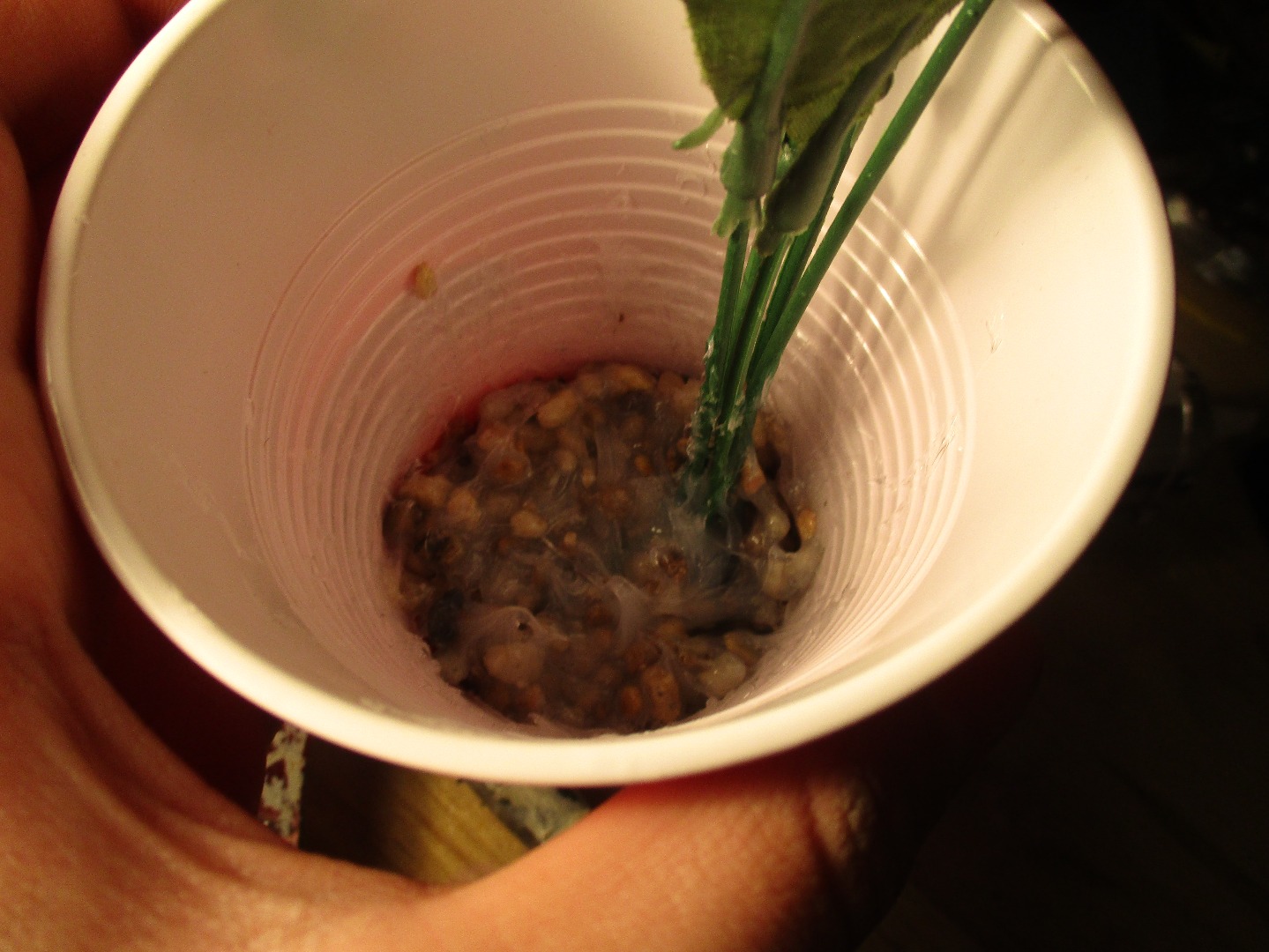 Fake Aquarium Plants 4 Steps (with Pictures) Instructables