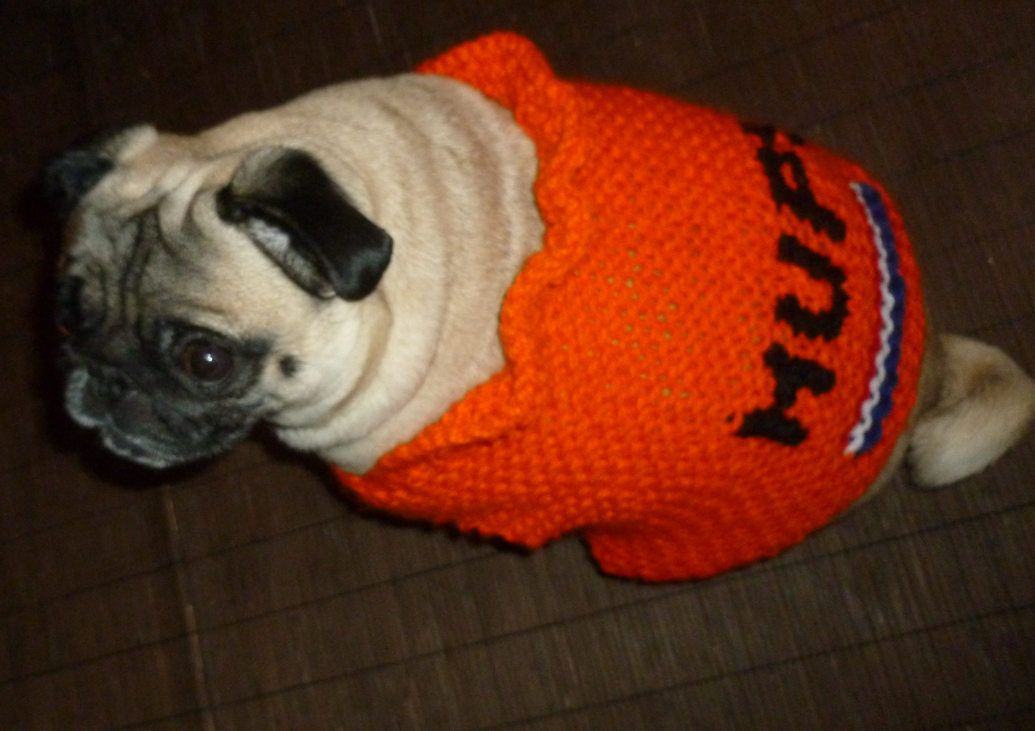Fancy Dog Clothes Instructables
