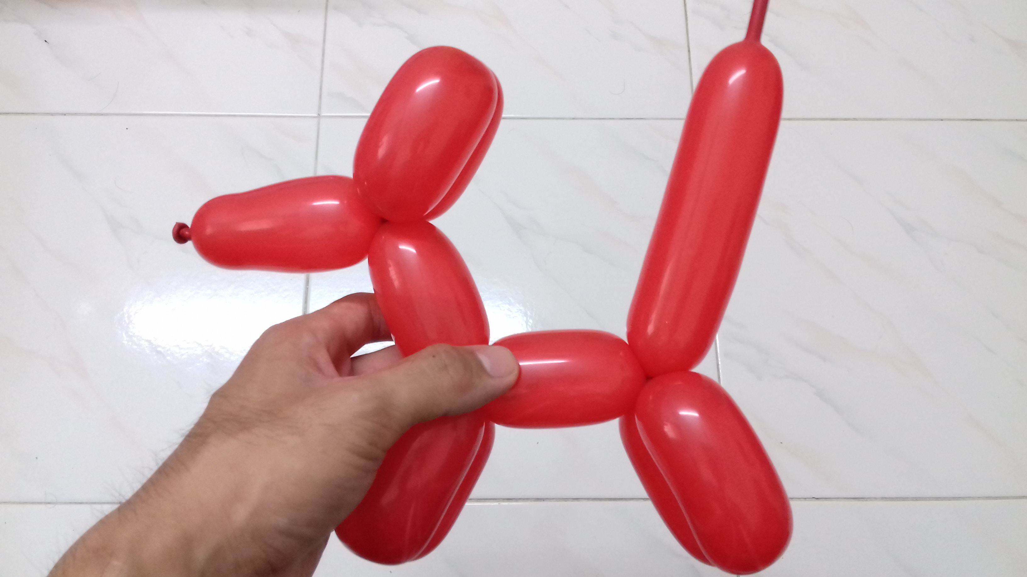 Balloon Twisting Dog 7 Steps (with Pictures) Instructables