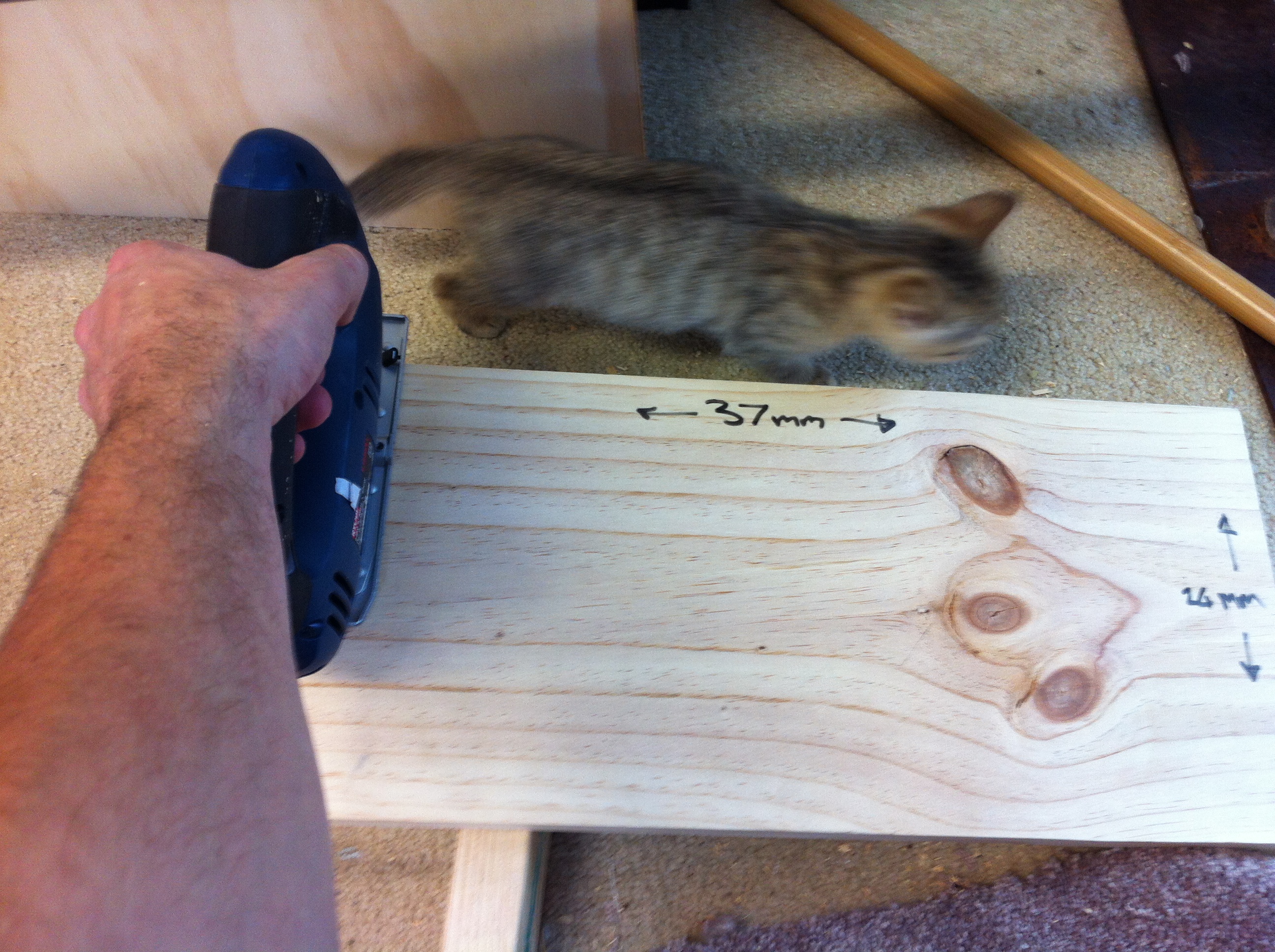 Cat Toy 6 Steps (with Pictures) Instructables