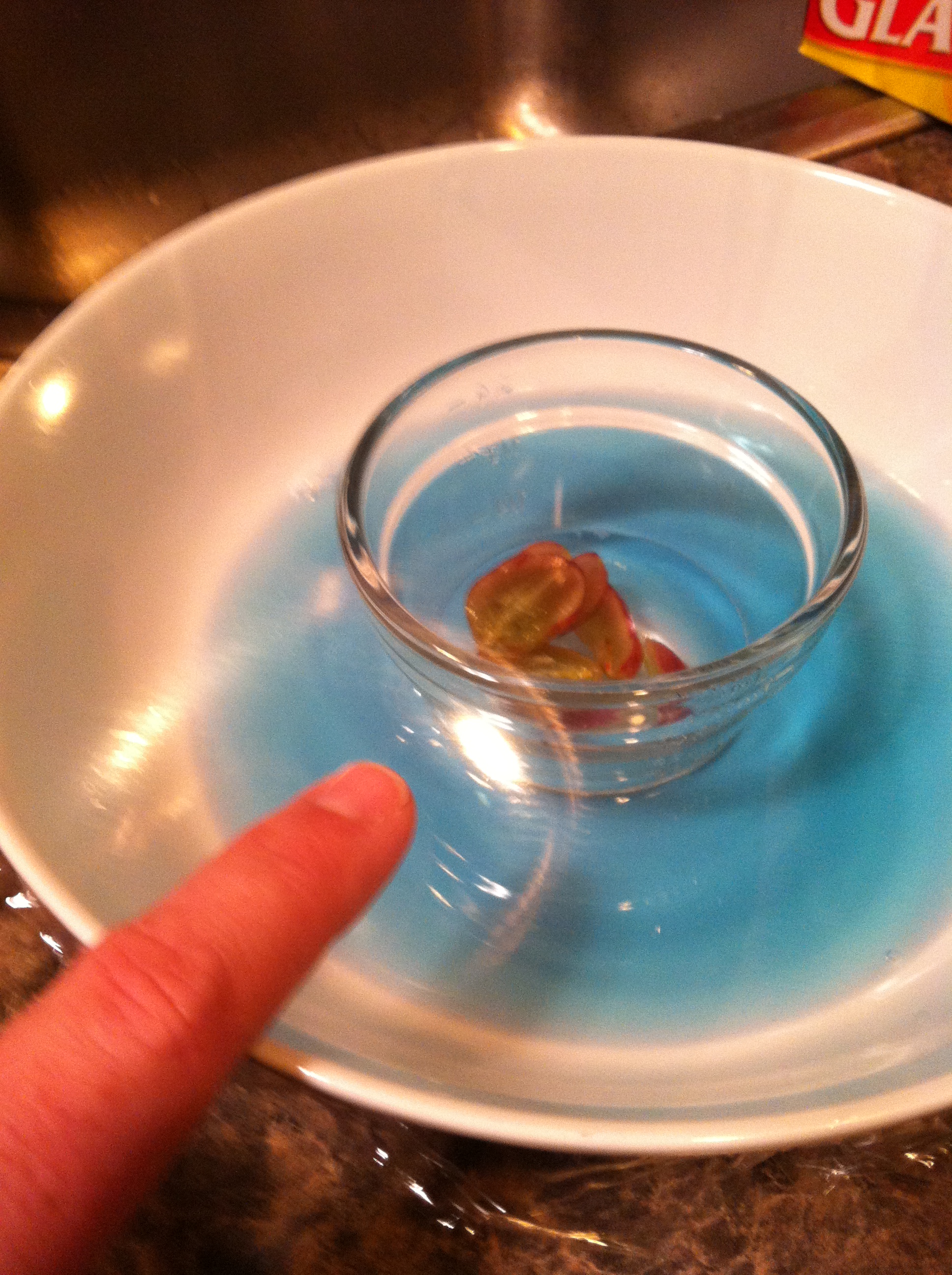 How to Create a Fool-Proof Gnat Trap : 9 Steps - Instructables