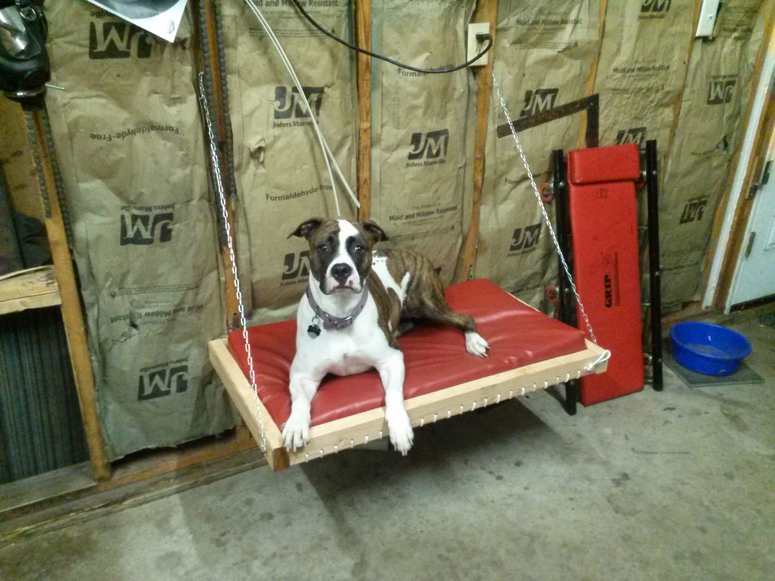 20 Off the Floor Fold Up Wallhanging Dog Bed (65lb Dog) Instructables
