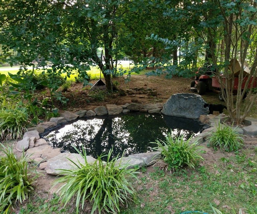 Golfish Pond 10 Steps (with Pictures) Instructables