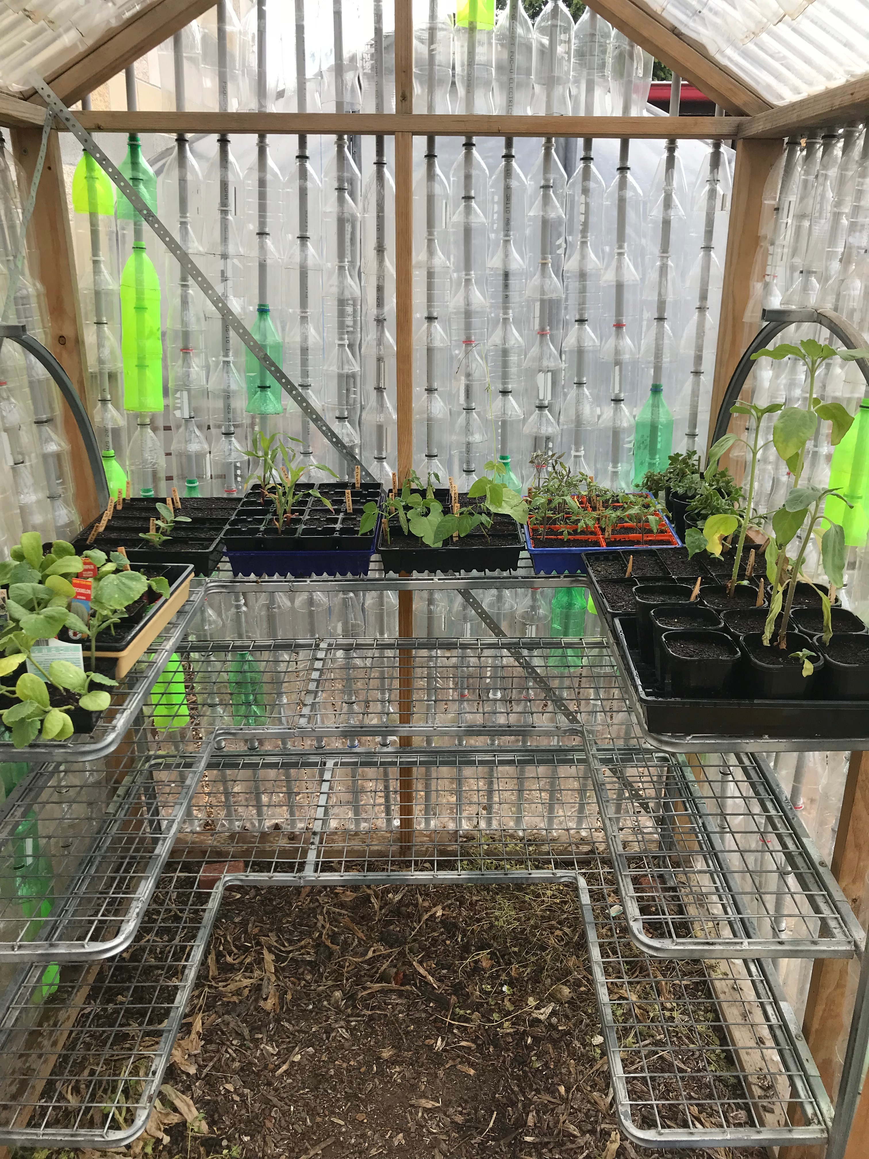 Softdrink Bottle Hothouse 6 Steps (with Pictures) Instructables