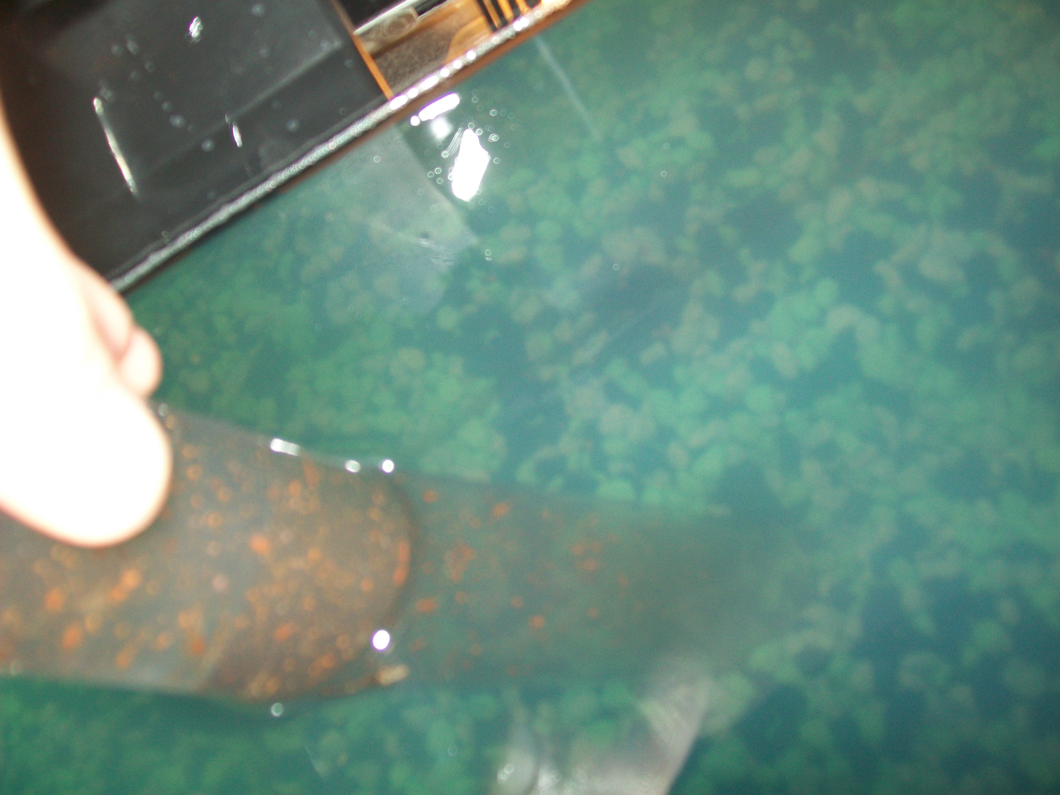 Dirty Tank? Let's Clean It Up! 10 Steps Instructables