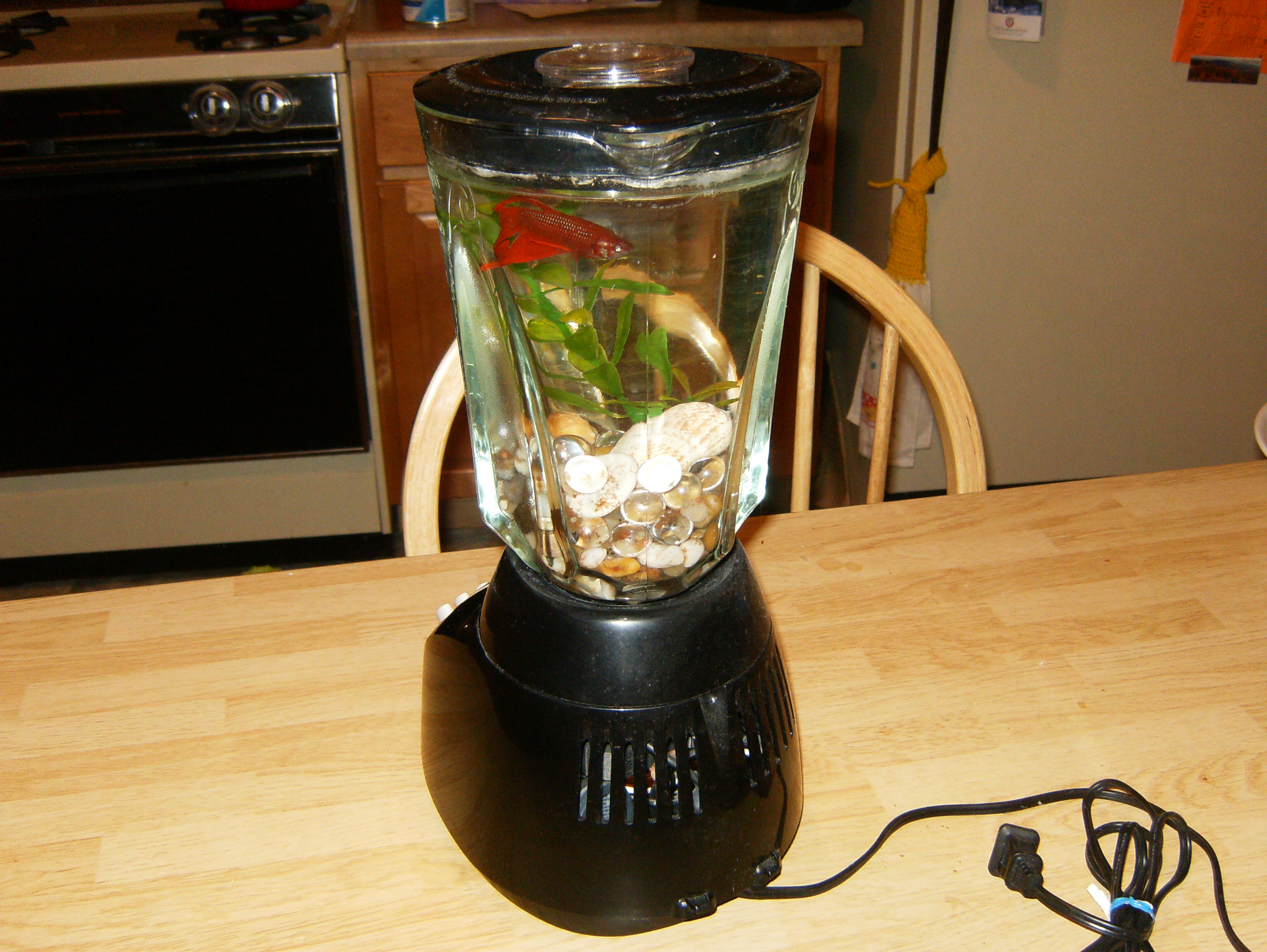 The Fishtank Blender. "The Blender Tank" 7 Steps (with Pictures