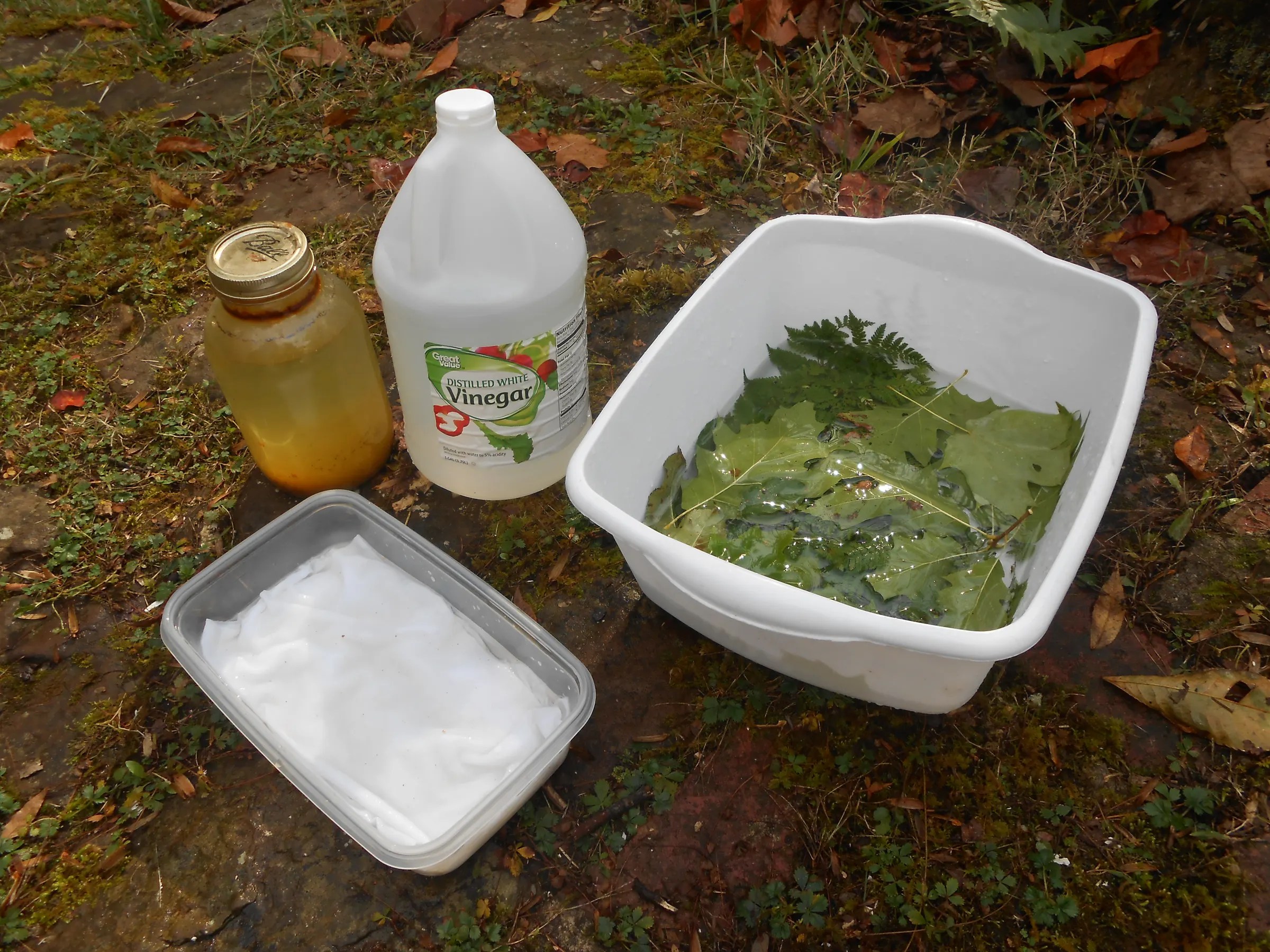EcoPrinting With Rust & Vinegar 6 Steps (with Pictures) Instructables