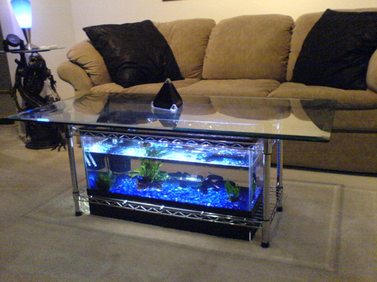 Fish Tank Coffee Table Made Out Of Pvc Pipe Coffee Signatures