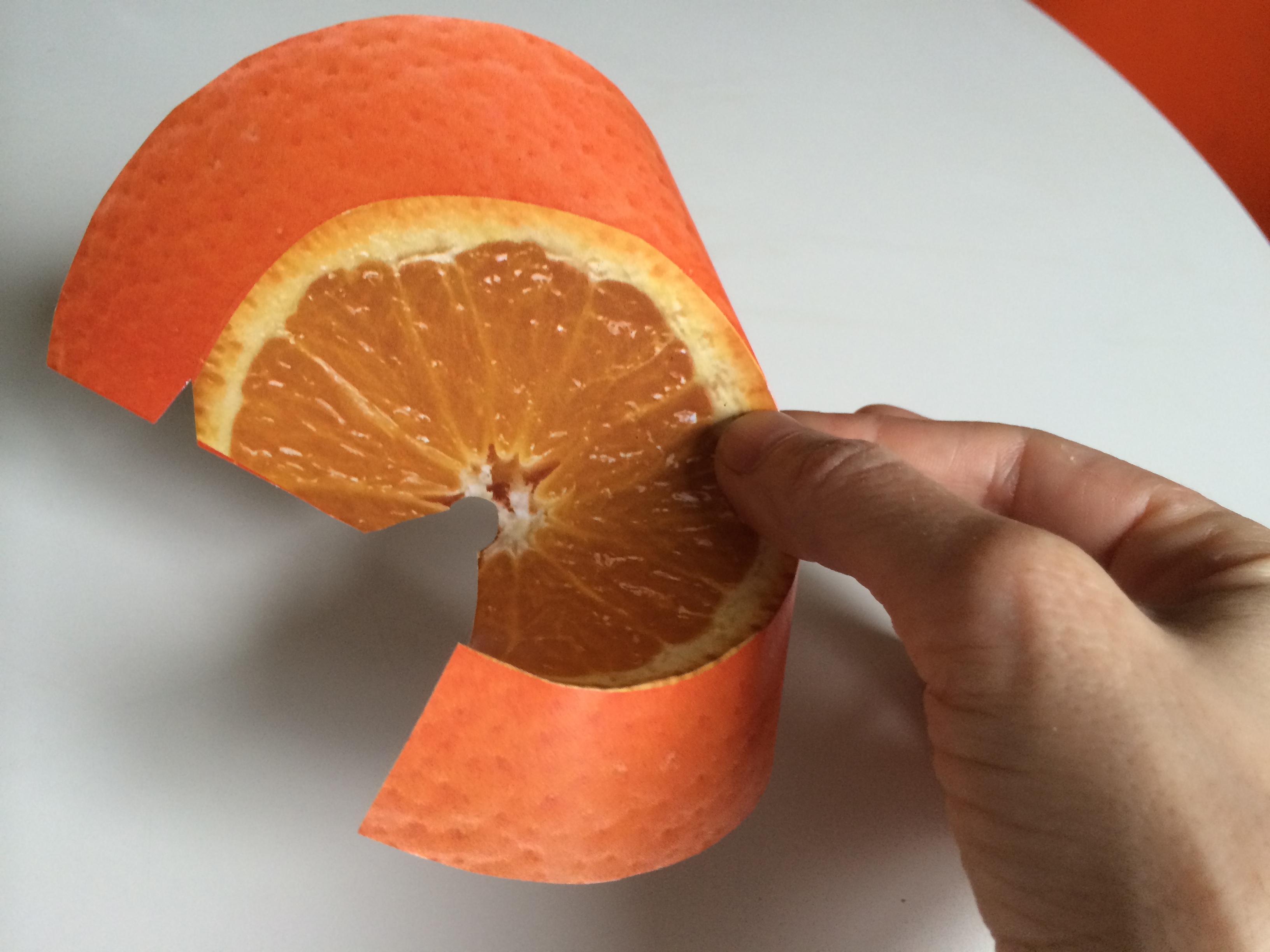 Cheap, Efficient, Easy (and Cute!) Fruit Fly Trap 3 Steps (with Pictures) Instructables