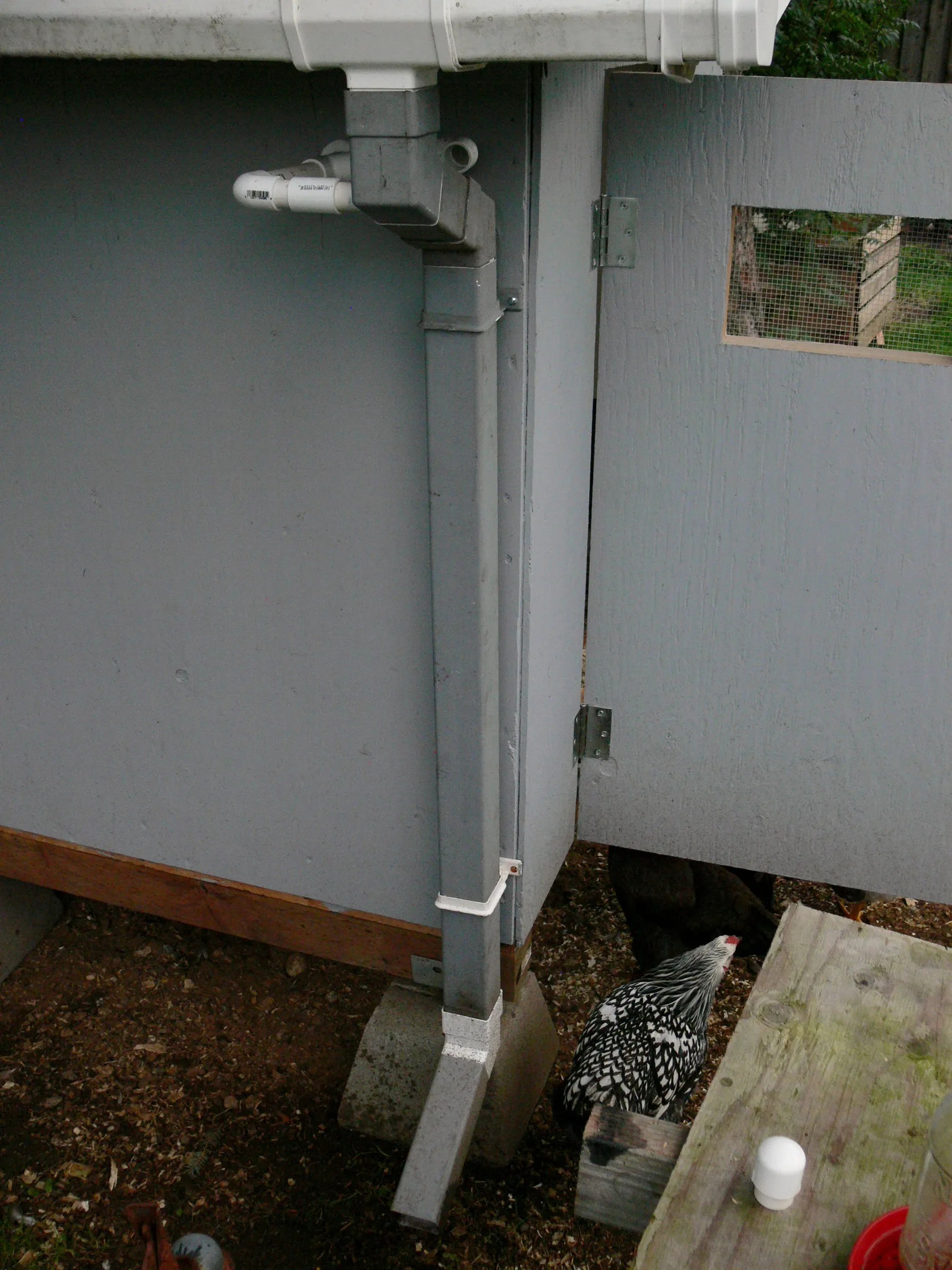 Rain Barrel and Chicken Trough Waterer 4 Steps Instructables