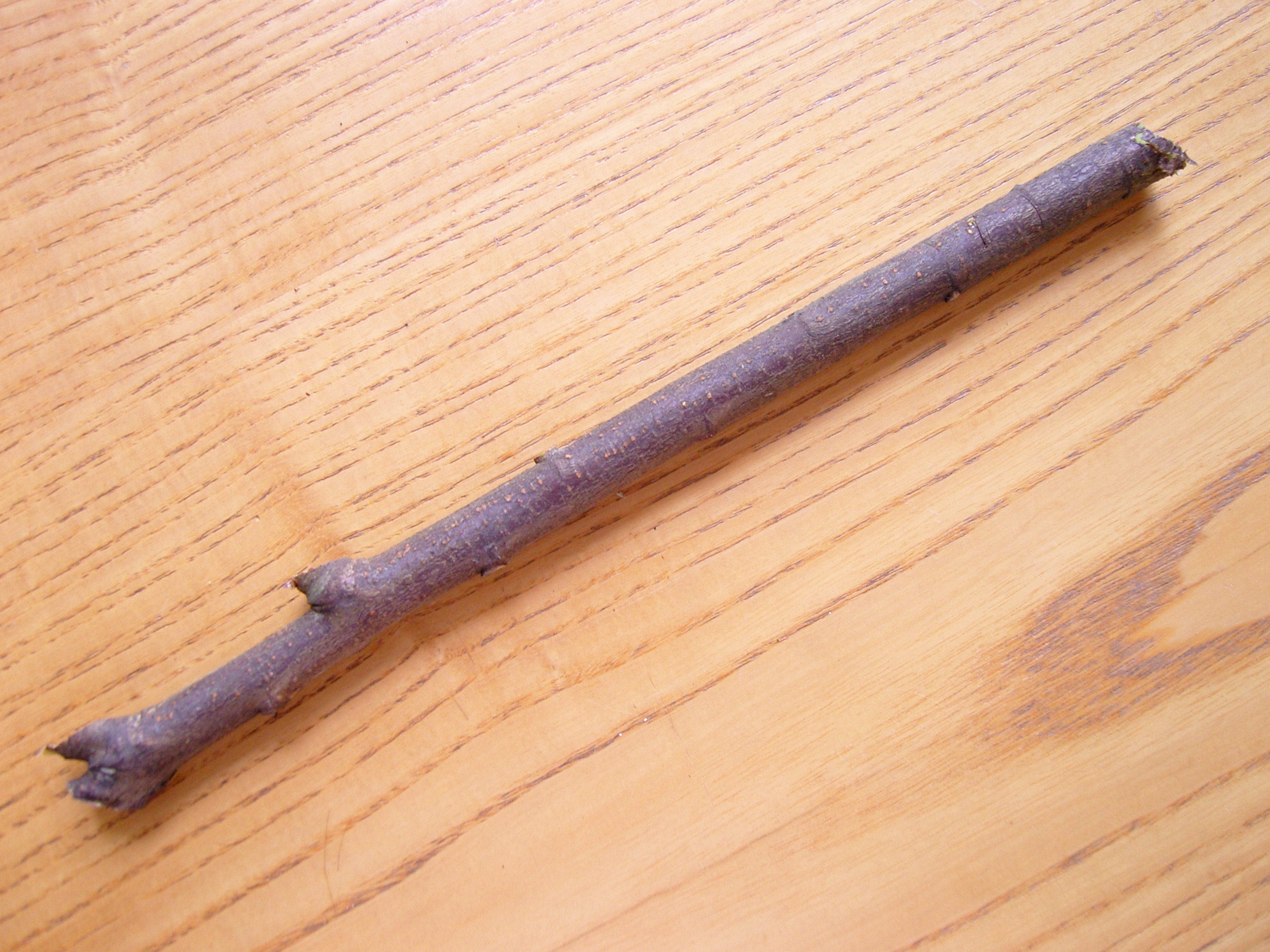 StickPencil 10 Steps Instructables