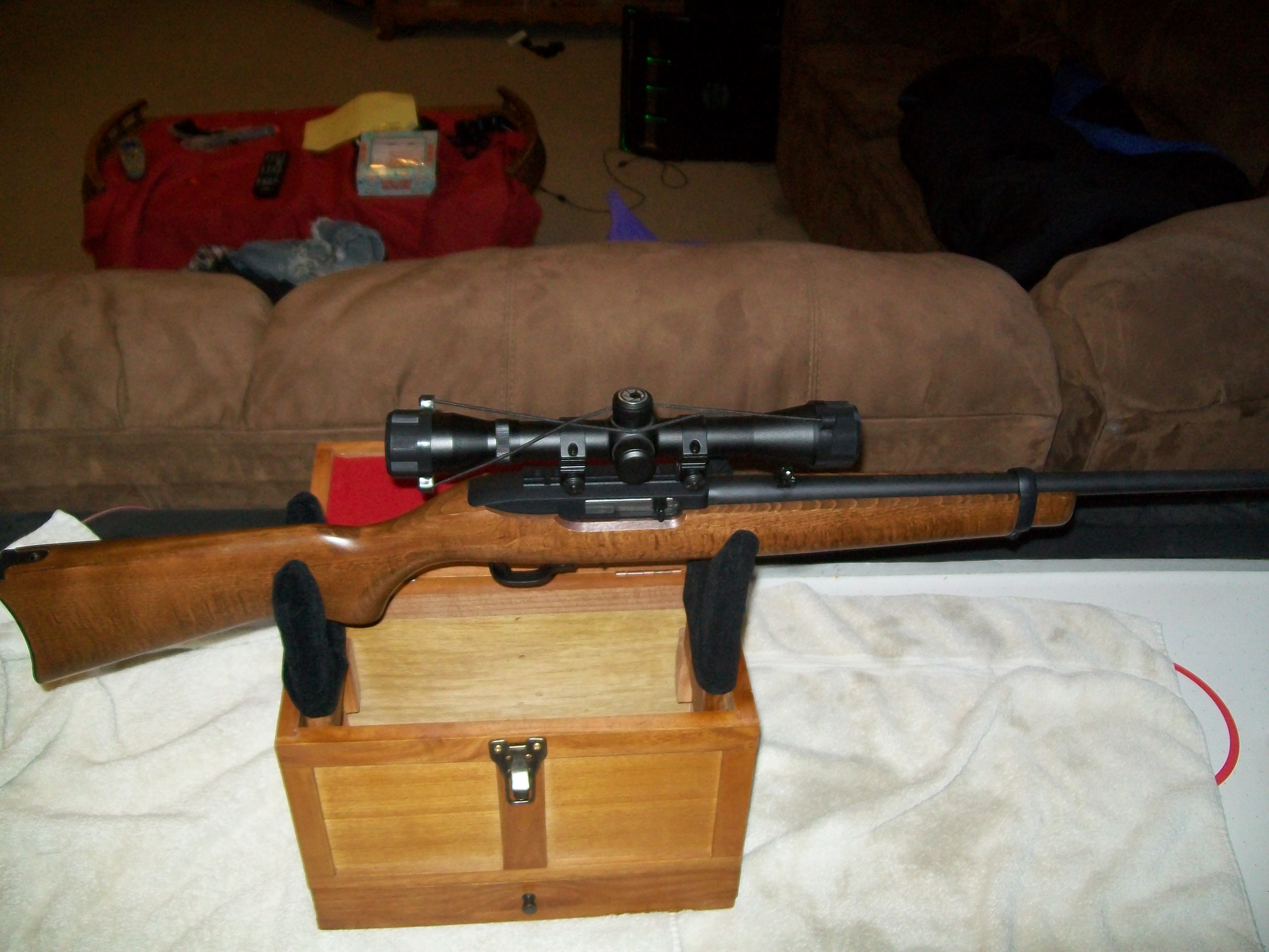 How To Clean Ruger 10 22 Staybite11