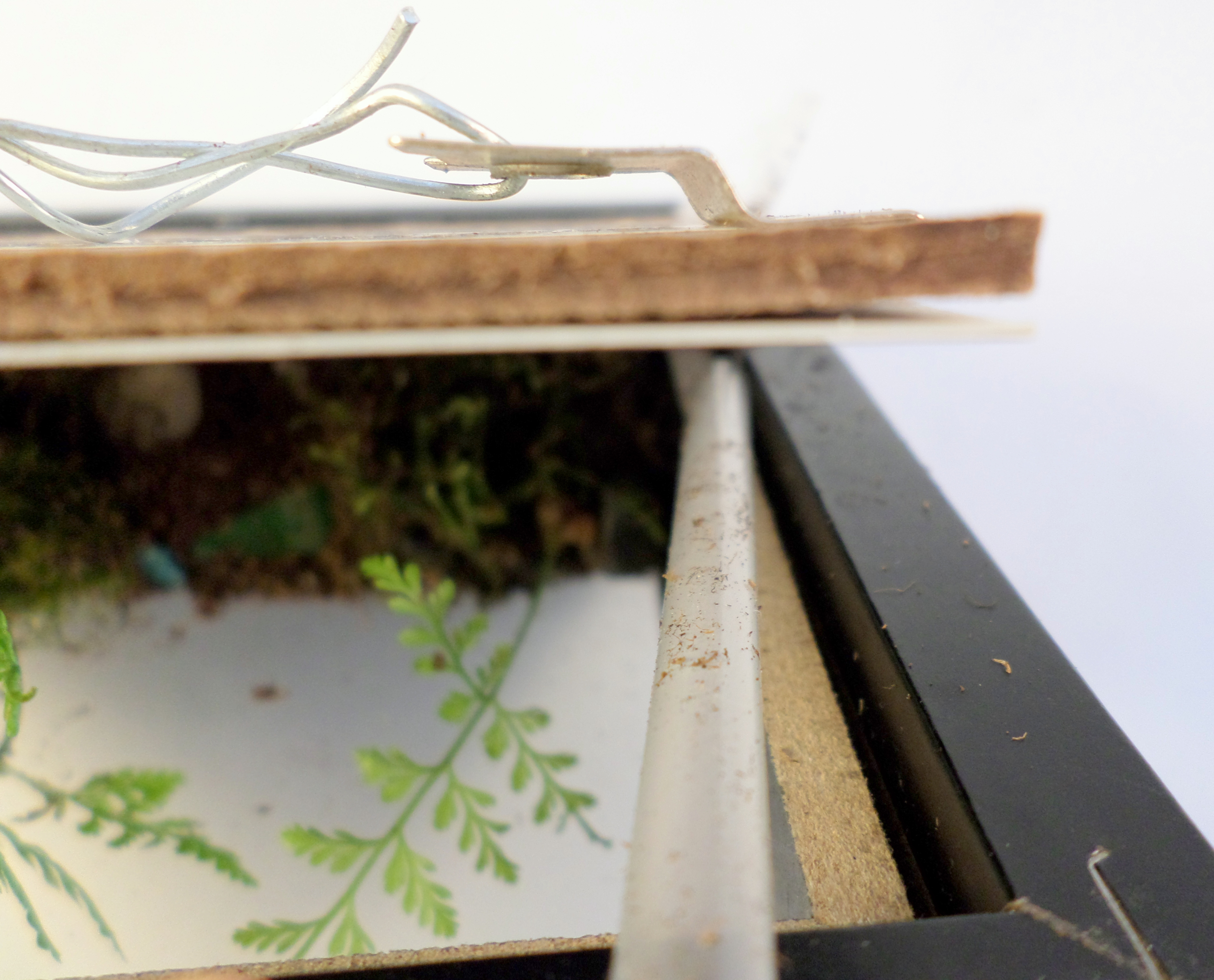 Picture Frame Terrarium 13 Steps (with Pictures) Instructables