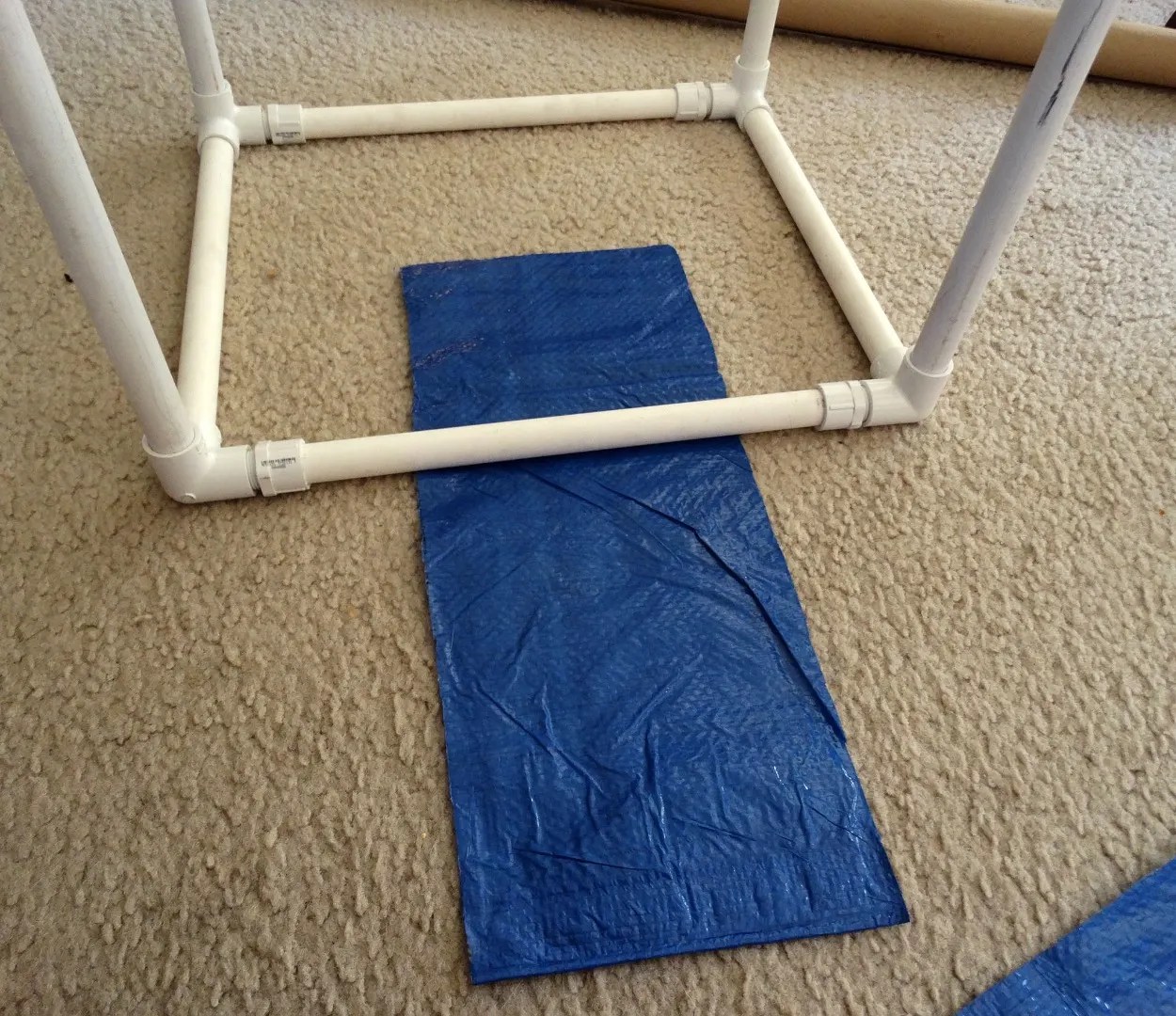 Raising Giant Silk Moths 15 Steps (with Pictures) Instructables