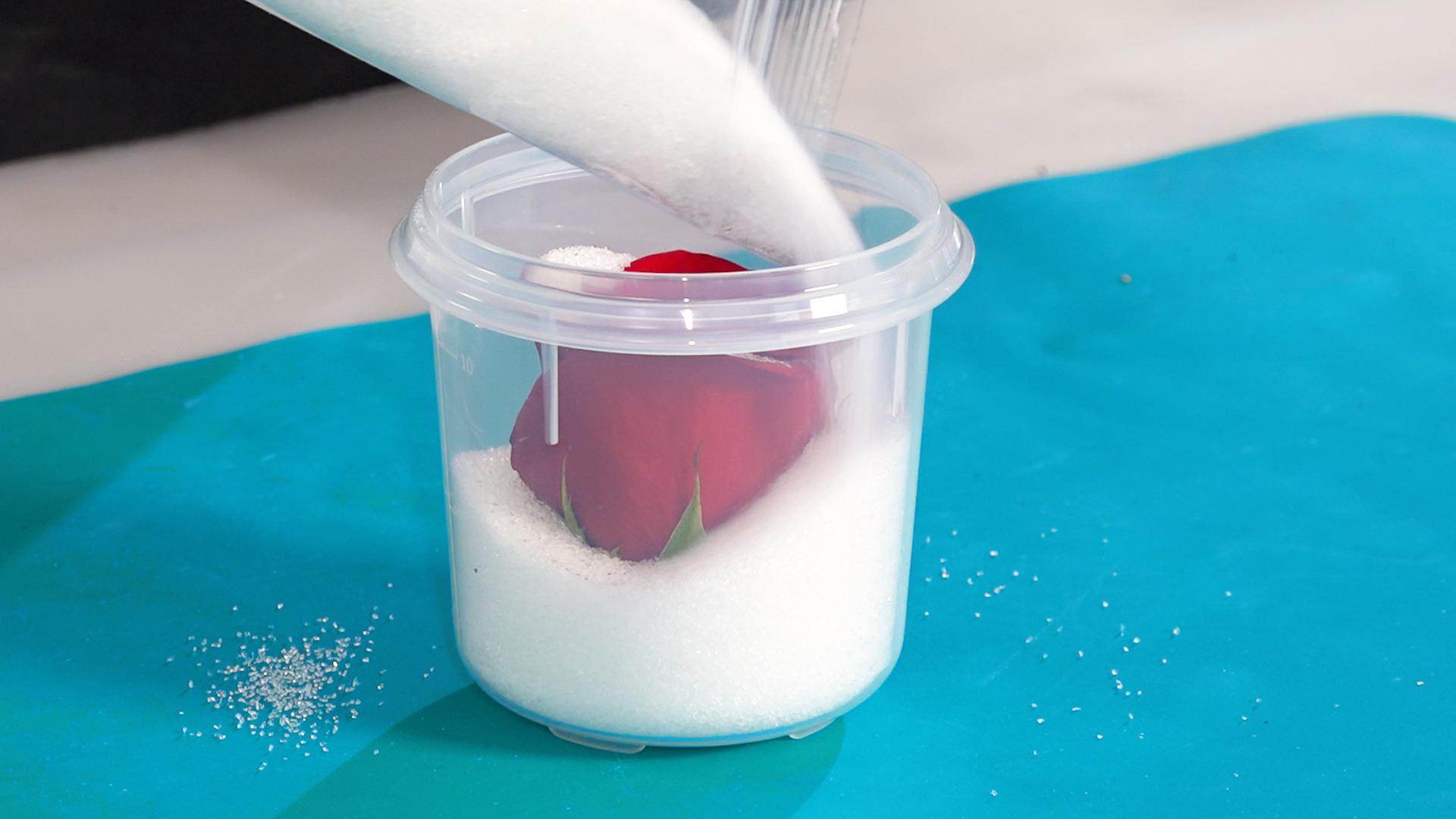 How to Cast Flowers in Epoxy Resin DIY Resin Rose Paperweight! 8