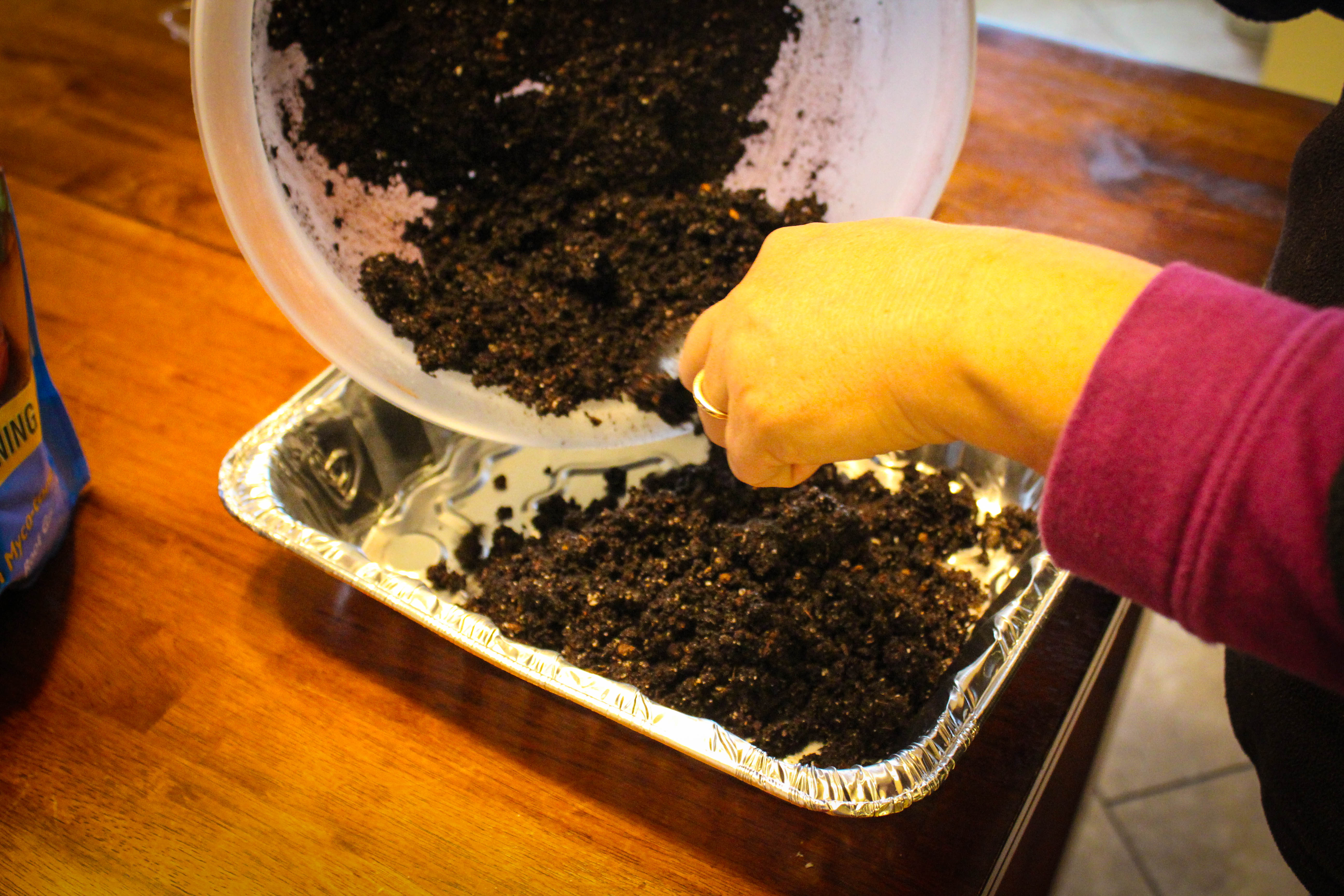 How to Grow Popcorn Shoots 9 Steps (with Pictures) Instructables