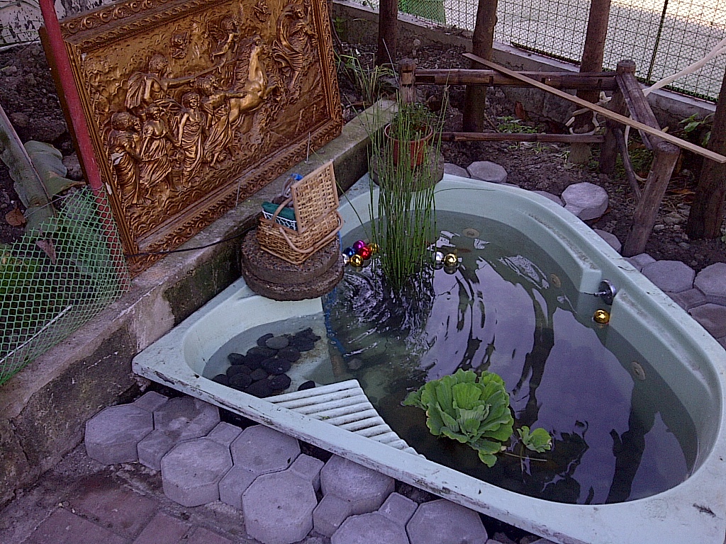 Jacuzzi Fish Pond 4 Steps Instructables
