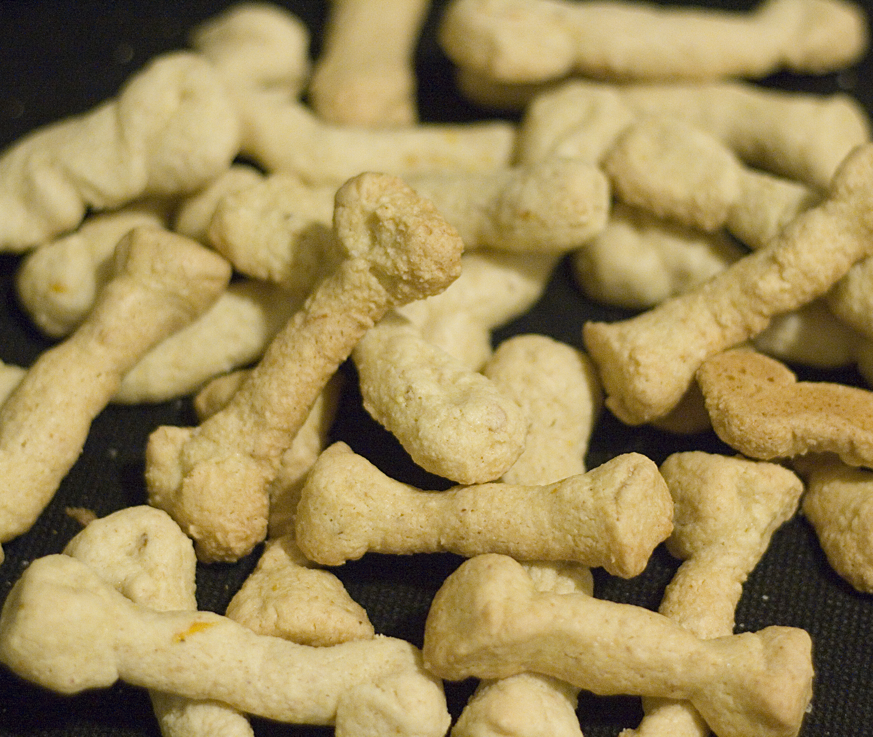 Bones of the Dead Cookies 6 Steps (with Pictures) Instructables