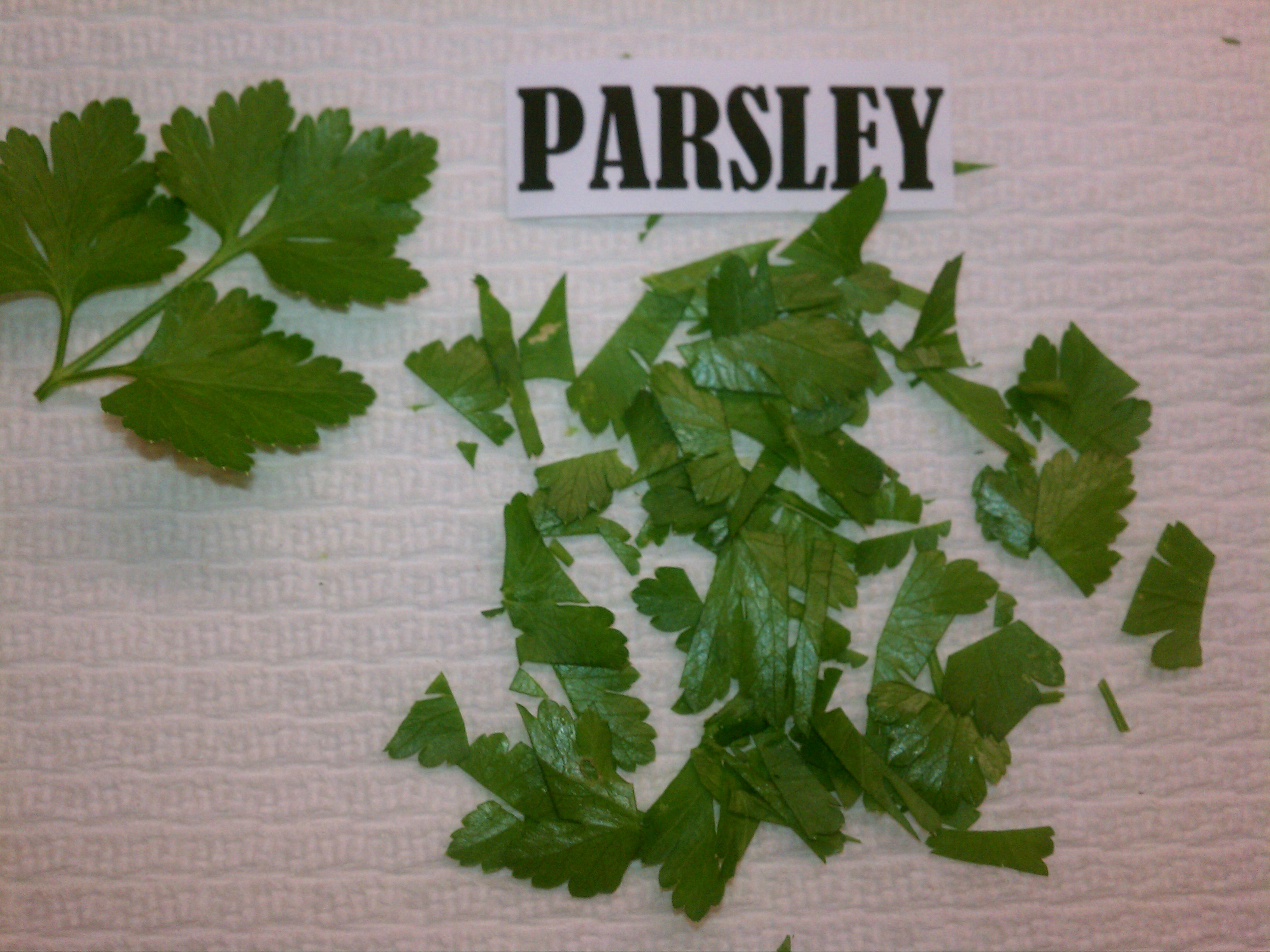 Prepare and Use Fresh Herbs 6 Steps (with Pictures) Instructables