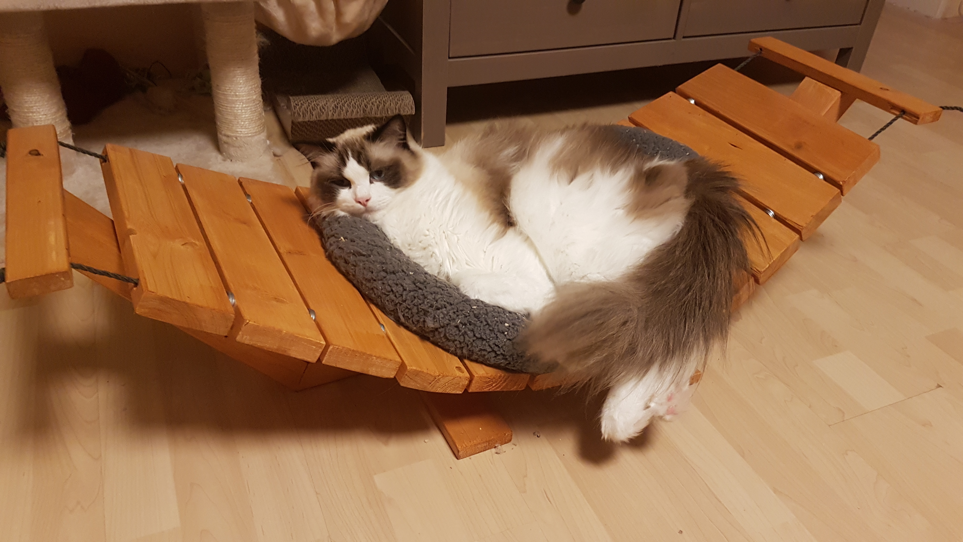 How to Build a Cat Hammock 7 Steps (with Pictures) Instructables