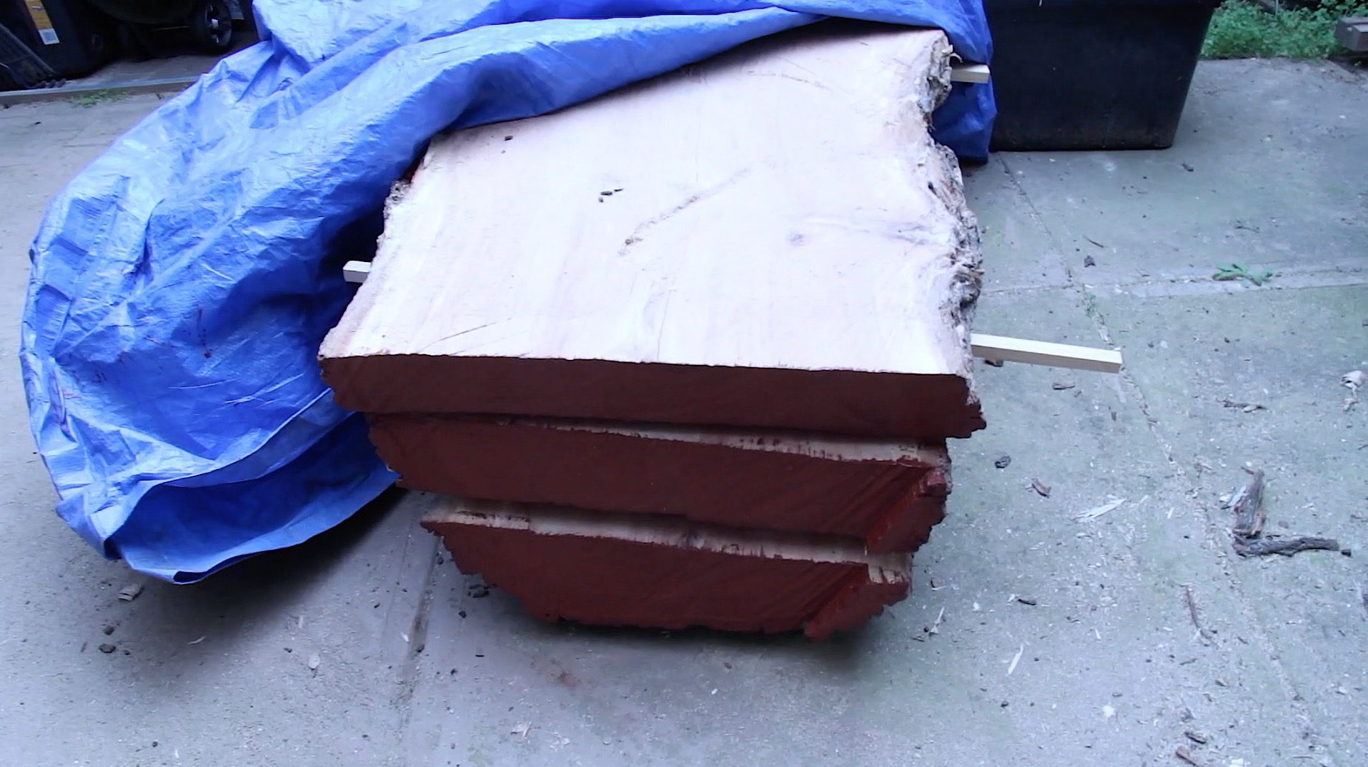 How to Turn a Tree Into a Coffee Table 4 Steps (with Pictures) Instructables