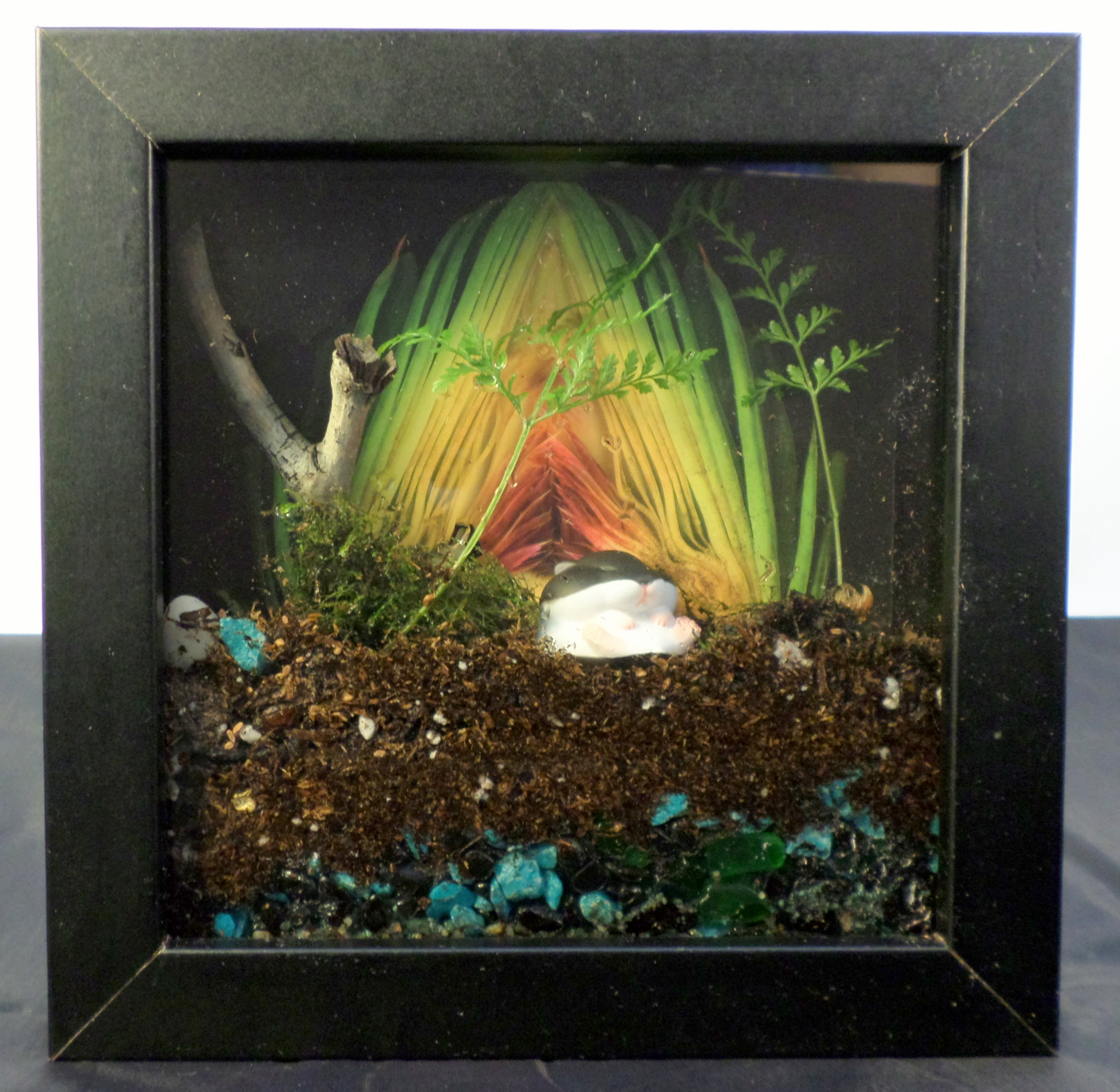 Picture Frame Terrarium 13 Steps (with Pictures) Instructables