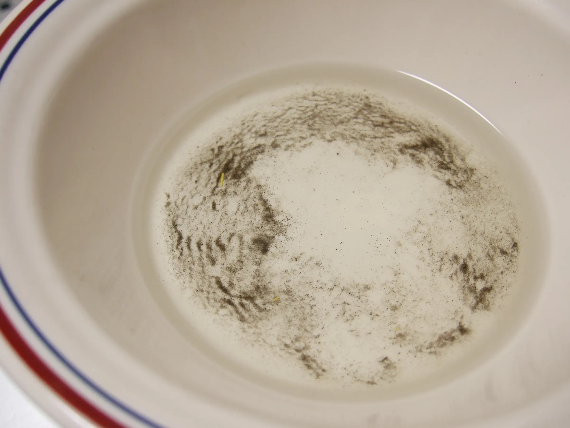 Clean and Grease Your Skateboard Bearings 6 Steps Instructables