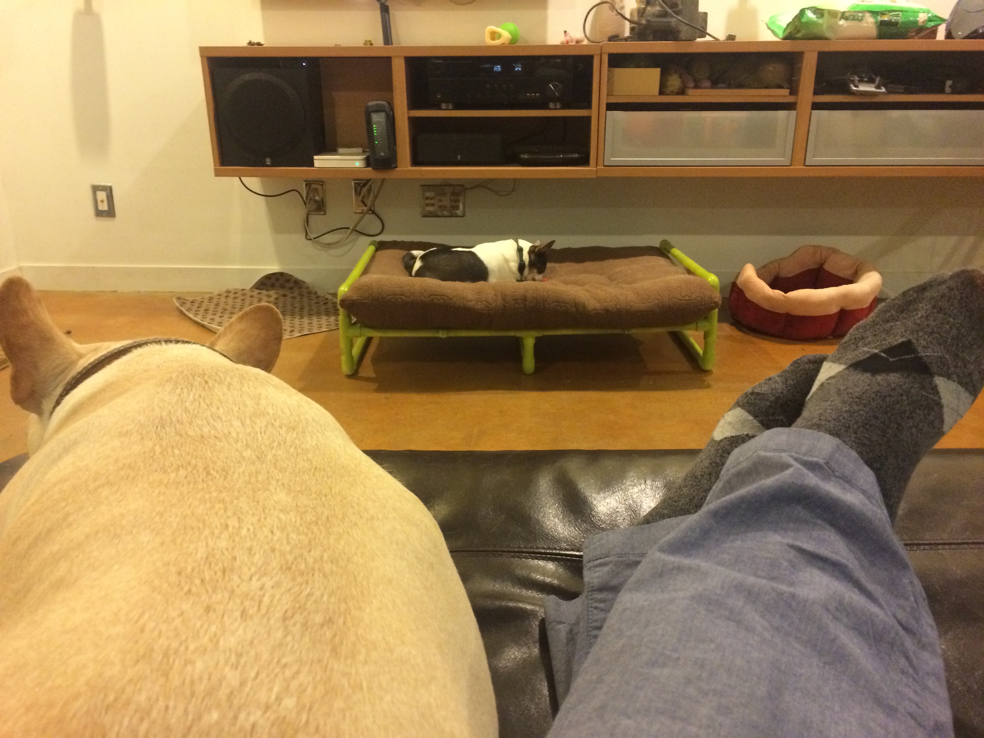 PVC Pipe Raised Dog Bed 7 Steps (with Pictures) Instructables