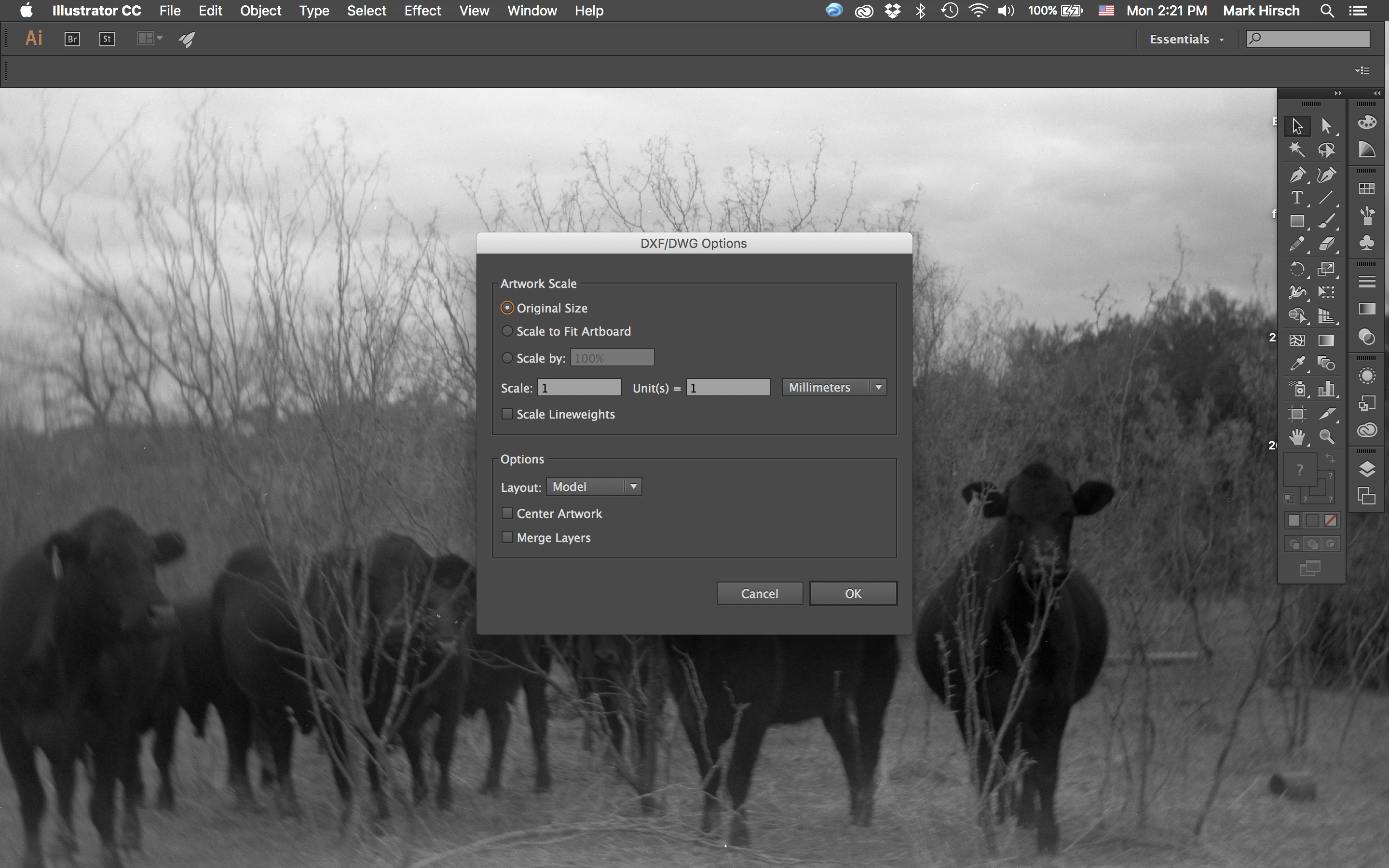 Laser Cutting With Rayjet 300 & Adobe Illustrator 8 Steps Instructables