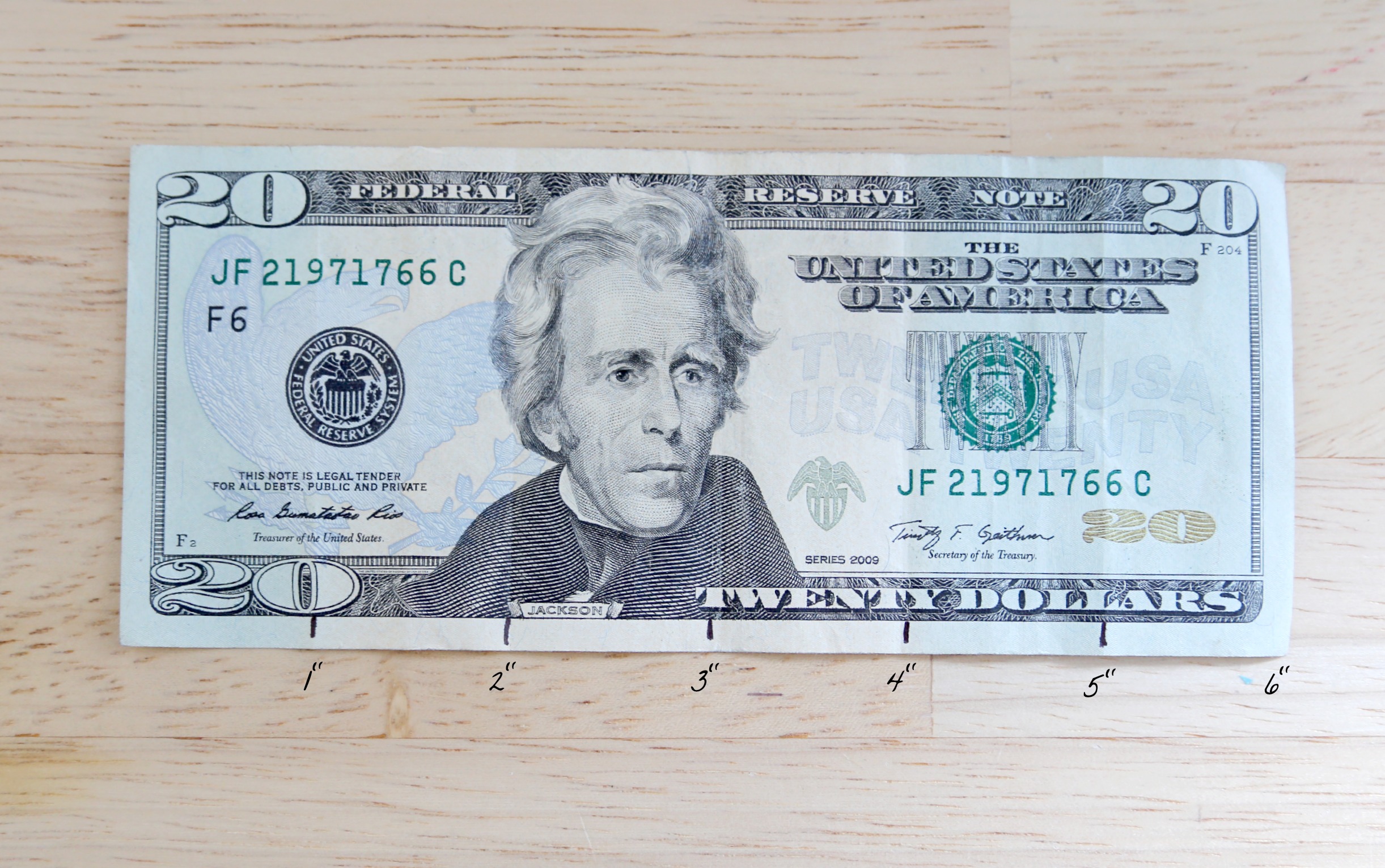 Things That Are 9 Inches Long piccorn