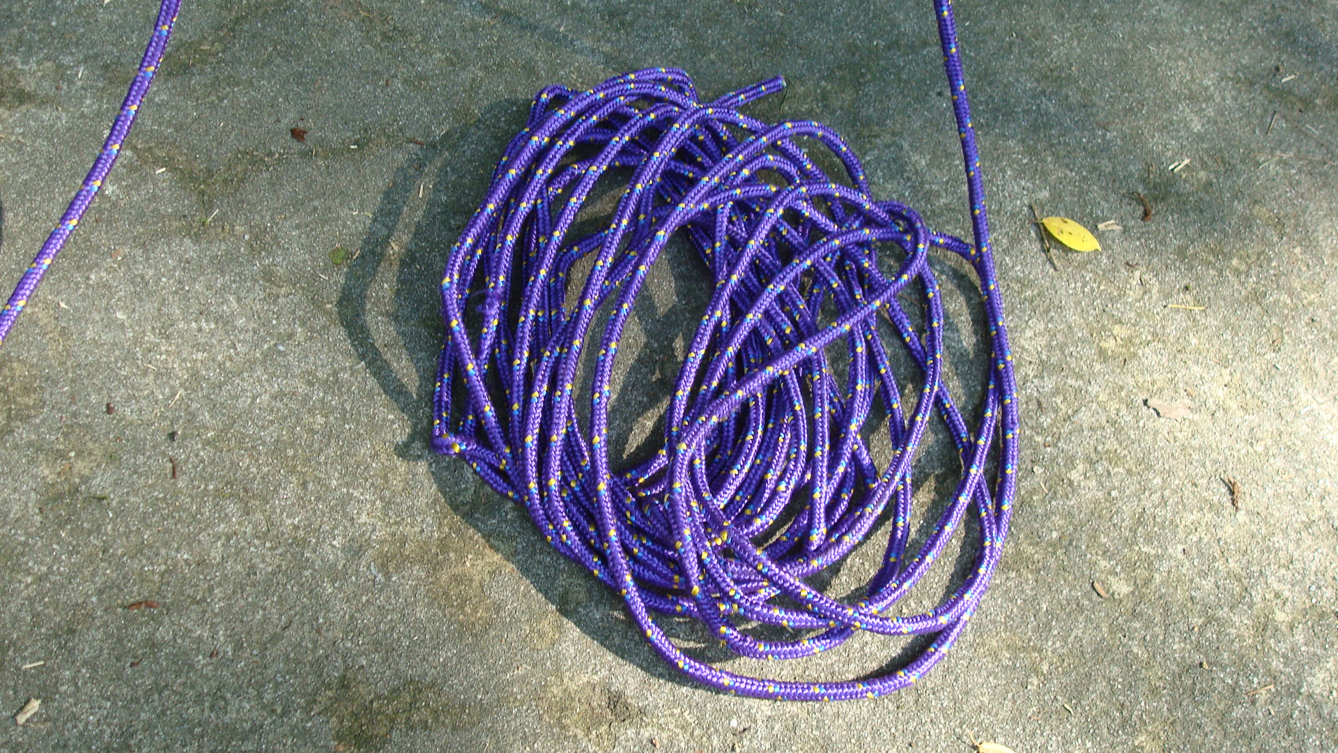 How to Climb a Tree (using Only Rope!) the Fun/simple Way 6 Steps