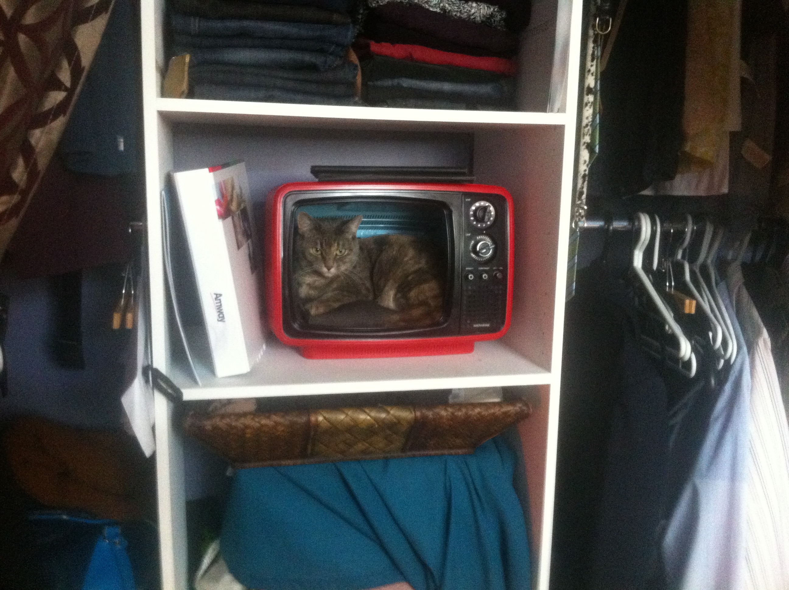 Retro TV Cat Bed 4 Steps Instructables