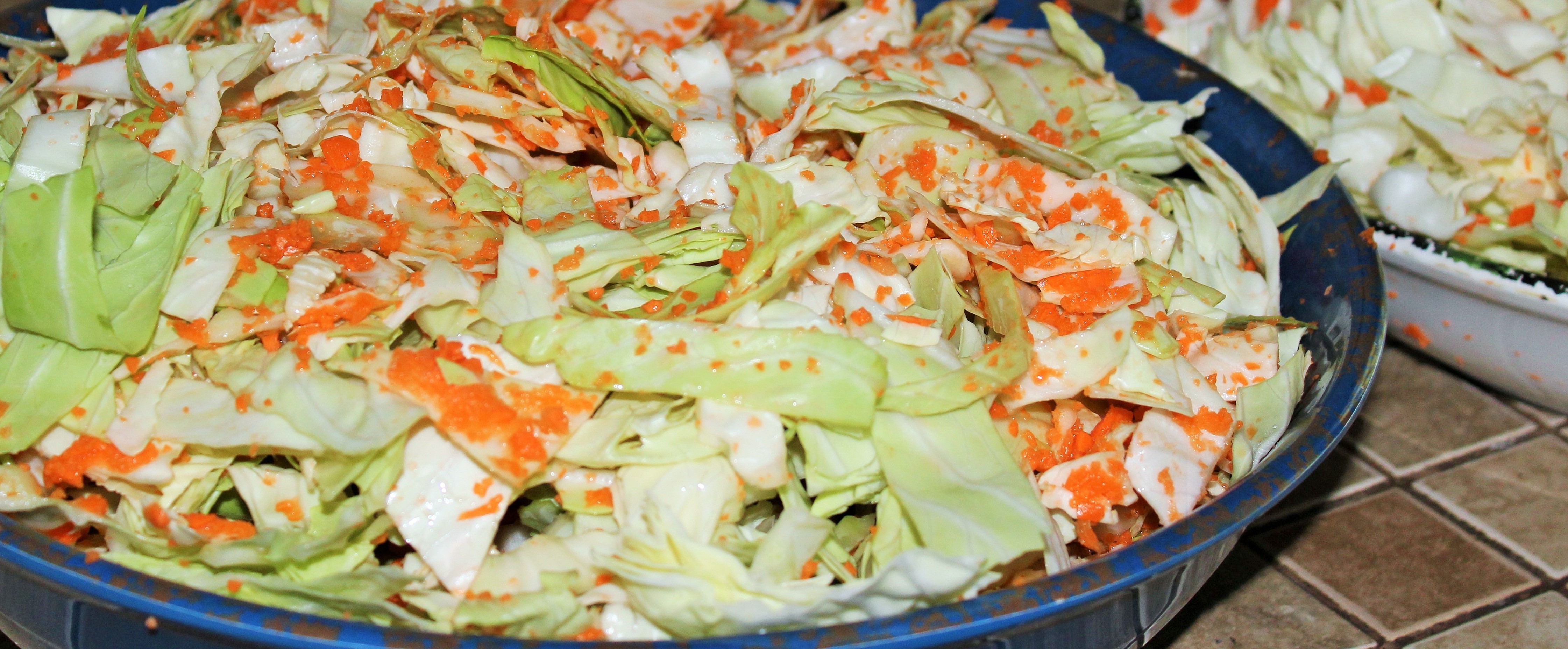 How to Can Cabbage 5 Steps (with Pictures) Instructables