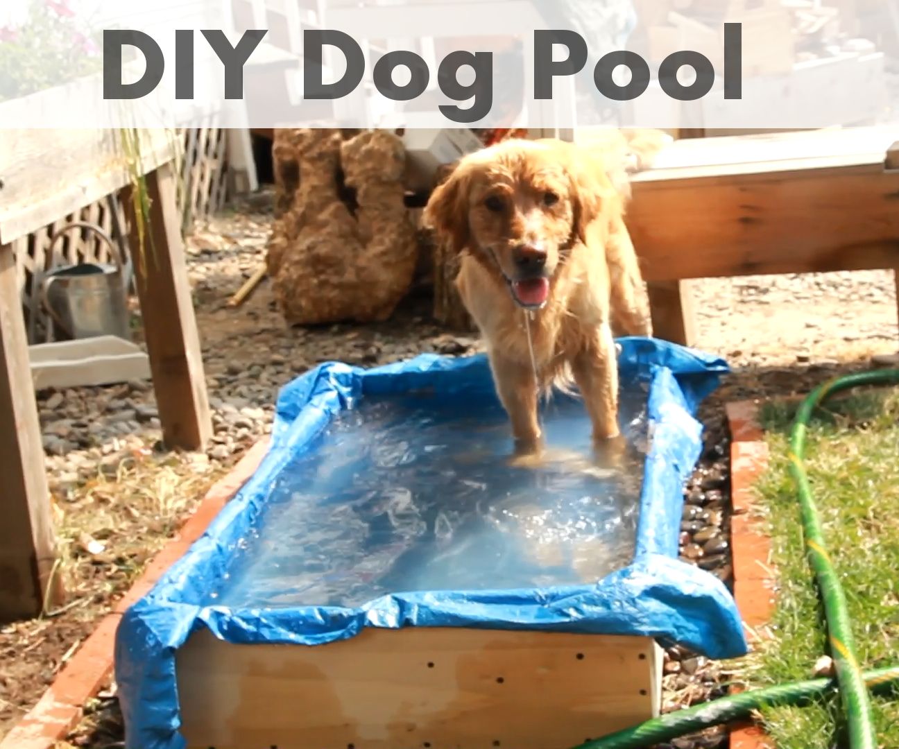DIY Dog Pool 5 Steps (with Pictures) Instructables