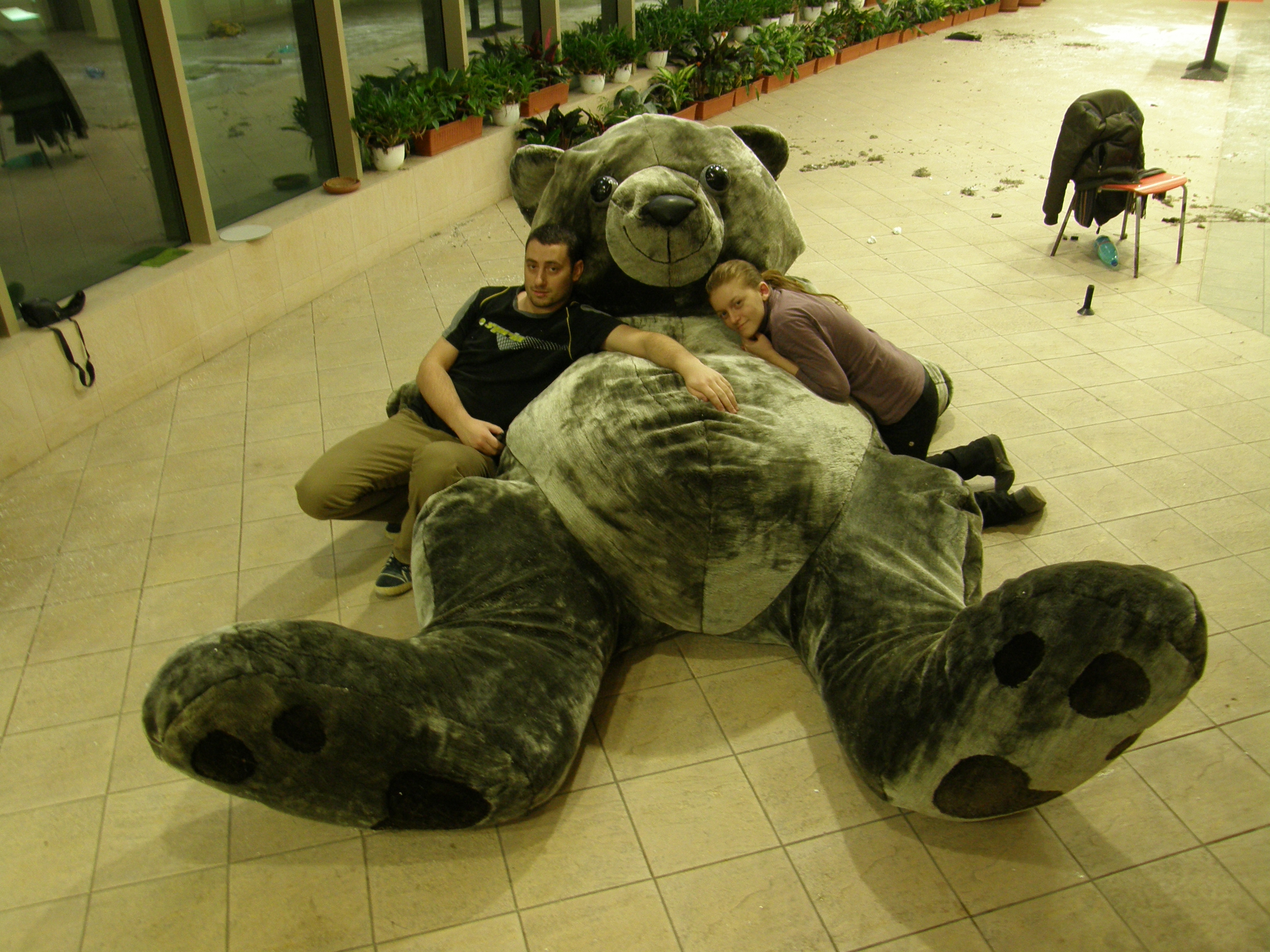 Gigantic Teddy Bear 5 Steps (with Pictures) Instructables