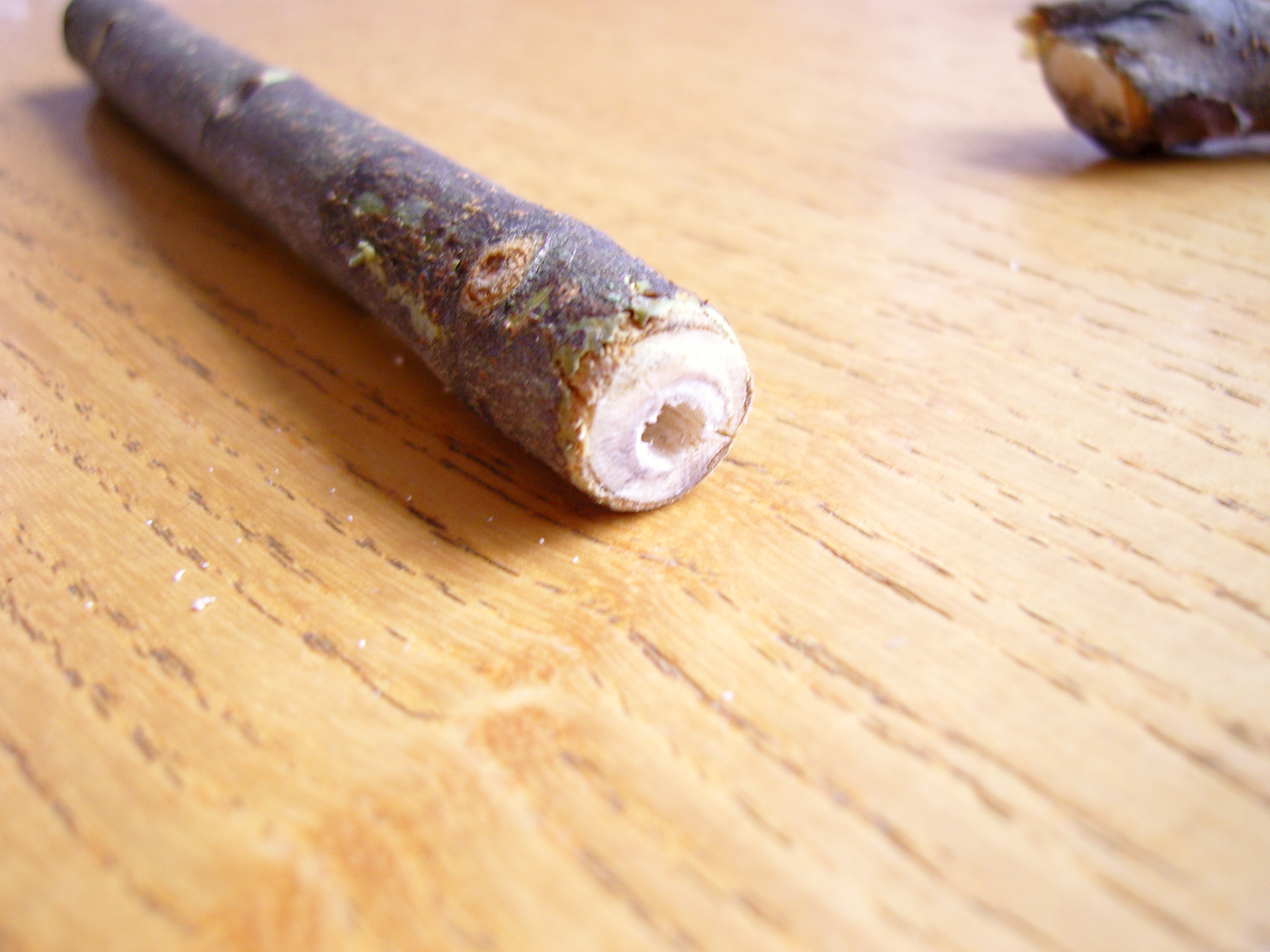 StickPencil 10 Steps Instructables