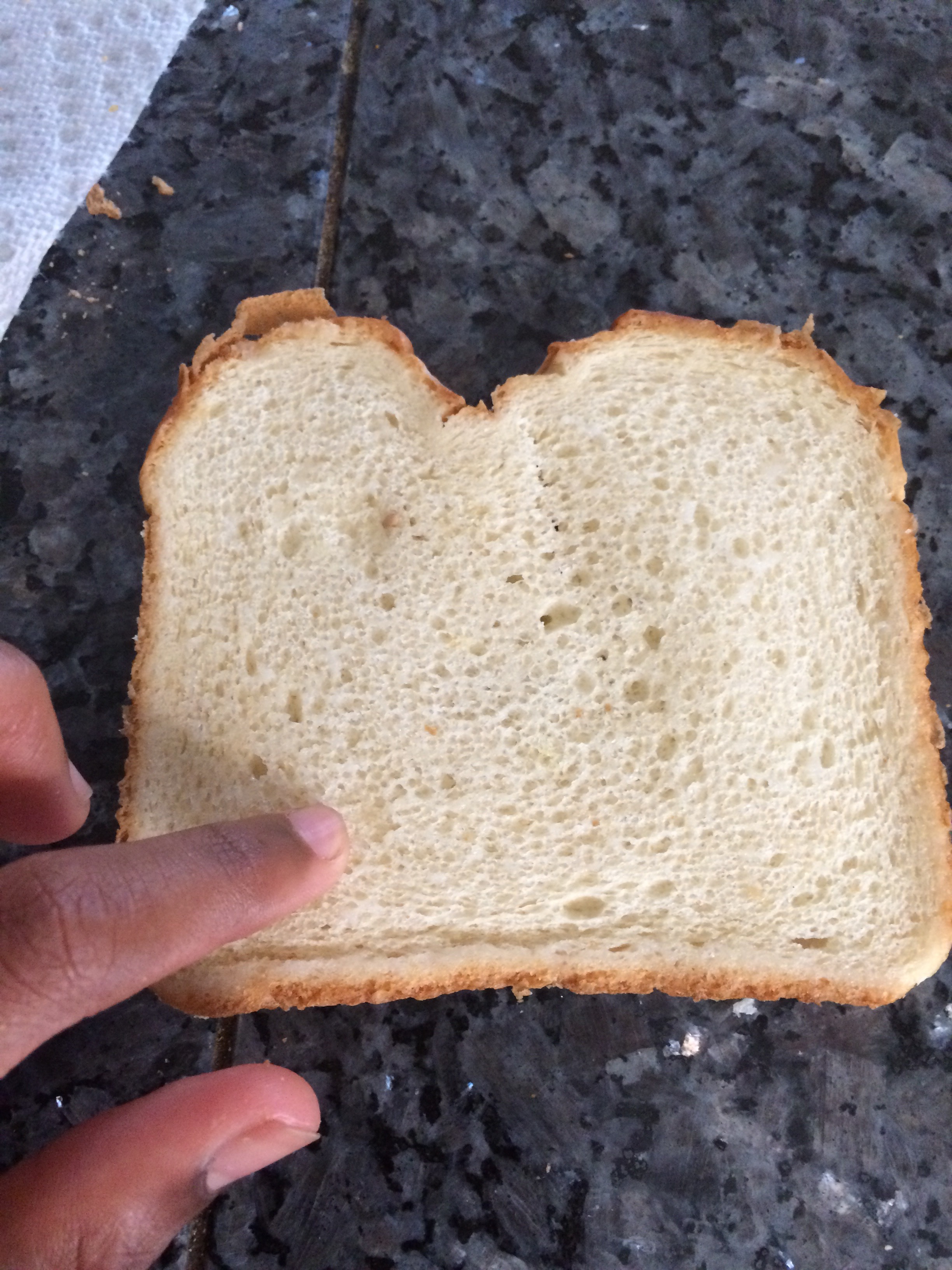 Toast in Microwave 6 Steps Instructables