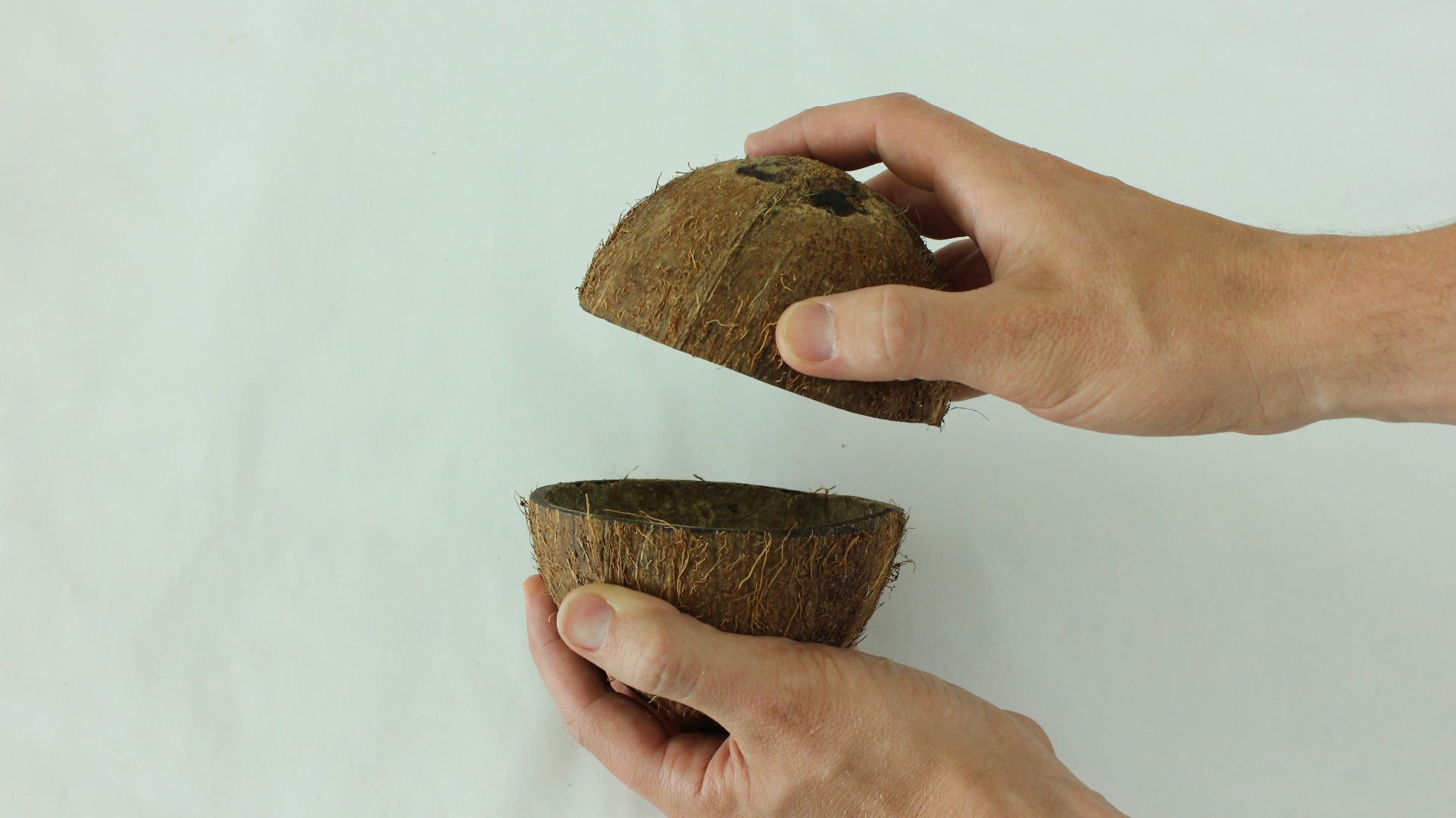 31 Unusual Uses for Coconuts 31 Steps (with Pictures) Instructables