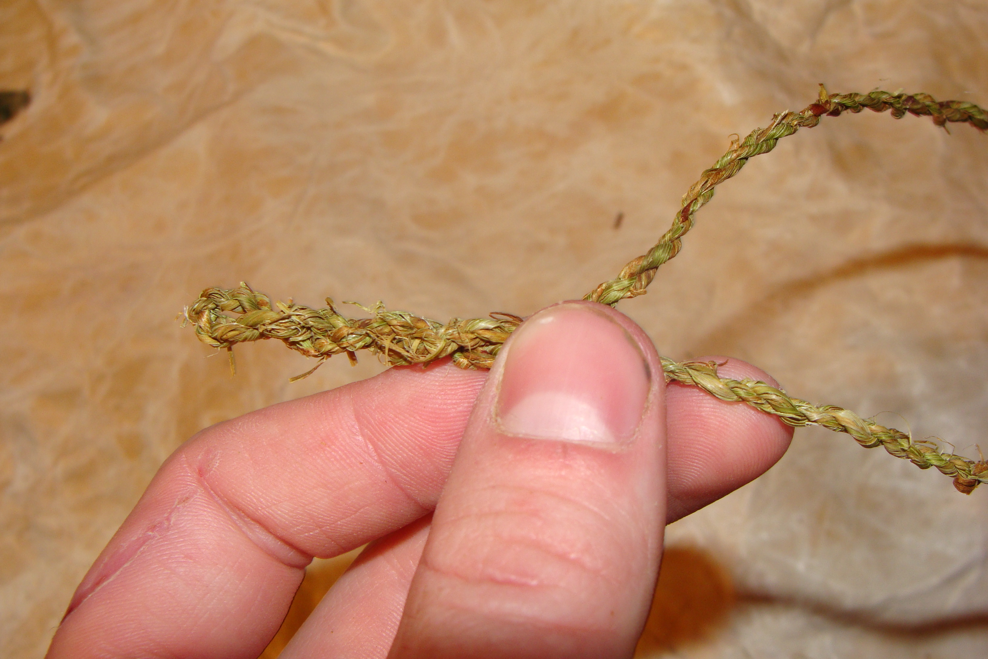 Natural Cordage 7 Steps (with Pictures) Instructables