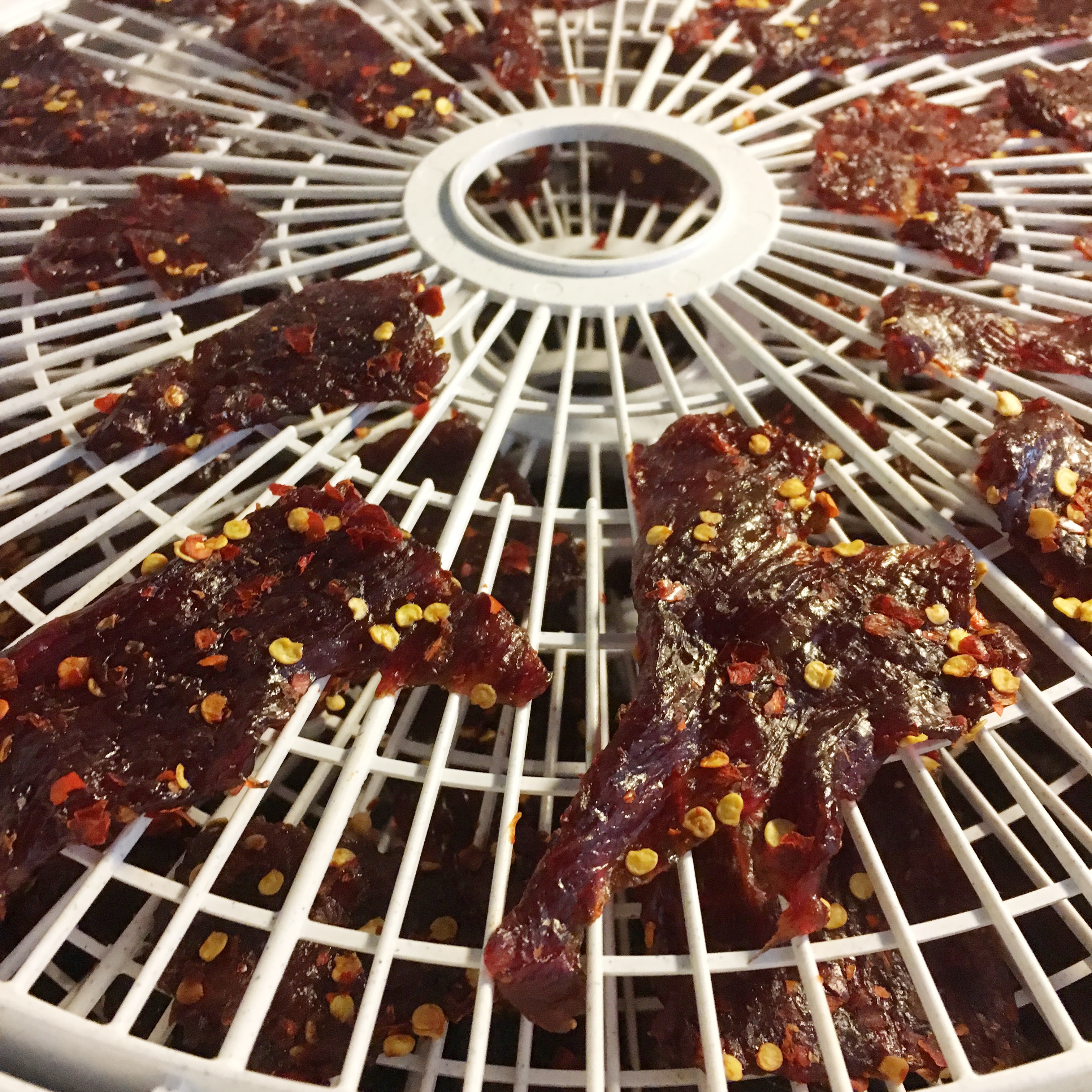 Maple Beef Jerky 7 Steps (with Pictures) Instructables